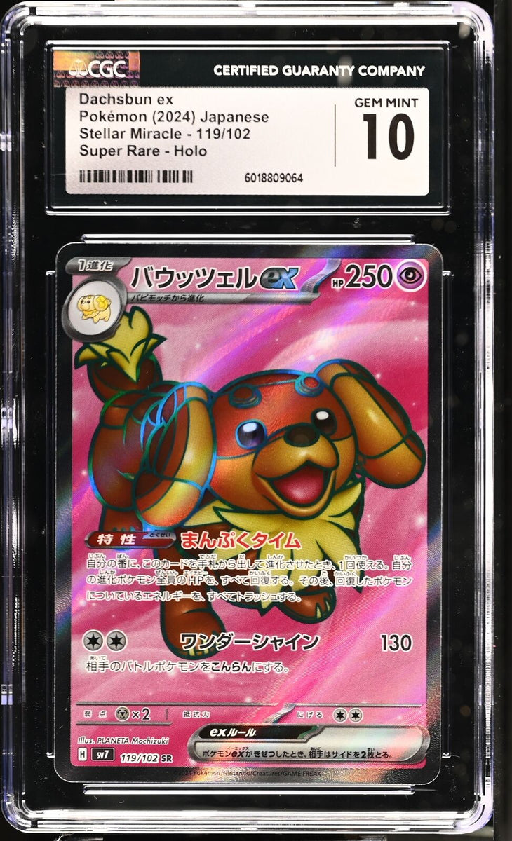 dachsbun pokemon card Pokémon TCG: Dachsbun SAR 129/102 sv7 Stella Miracle main image 1