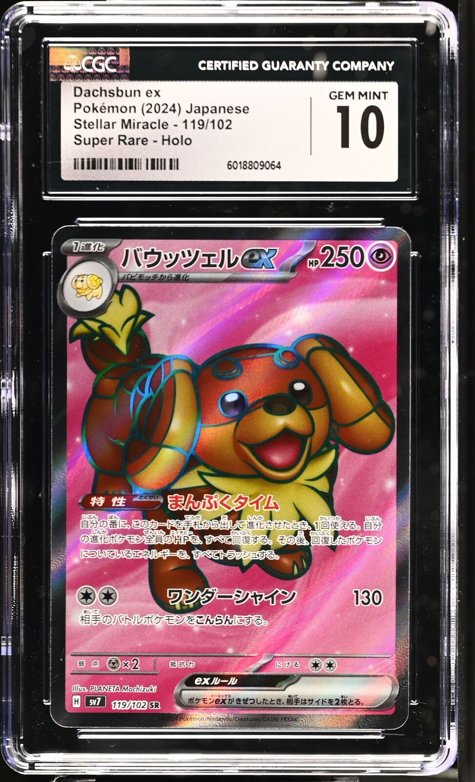CGC 10 GEM MINT JAPANESE POKEMON 2024 Dachsbun ex 119/102 Stella Miracle SV7