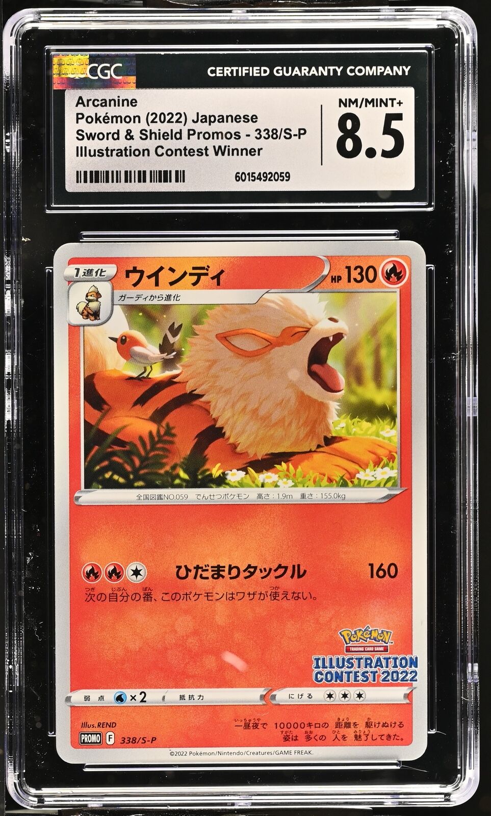 CGC 8.5 MINT+ Japanese Pokemon 2022 Arcanine 338/S-P Illustration Contest Winner