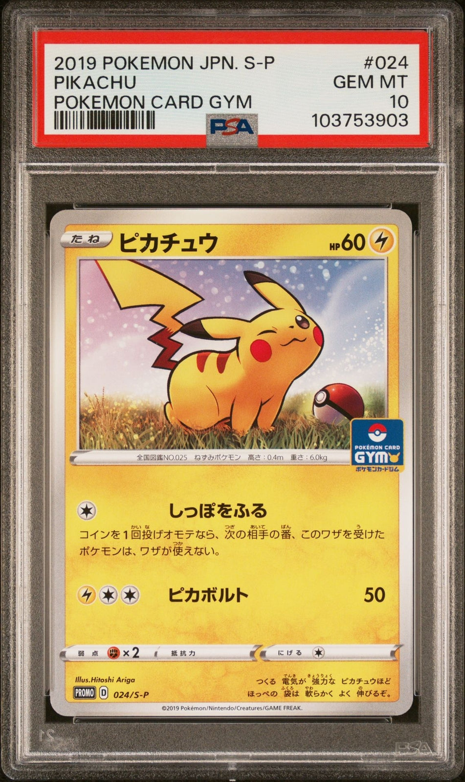 PSA 10 GEM MINT JAPANESE POKEMON 2019 PIKACHU 024/S-P POKEMON CARD GYM PROMO