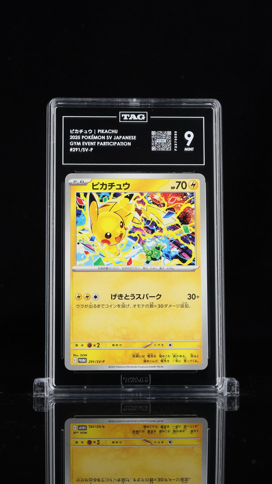 TAG 9 MINT Japanese Pokemon 2025 Pikachu 291/SV-P Gym Promo