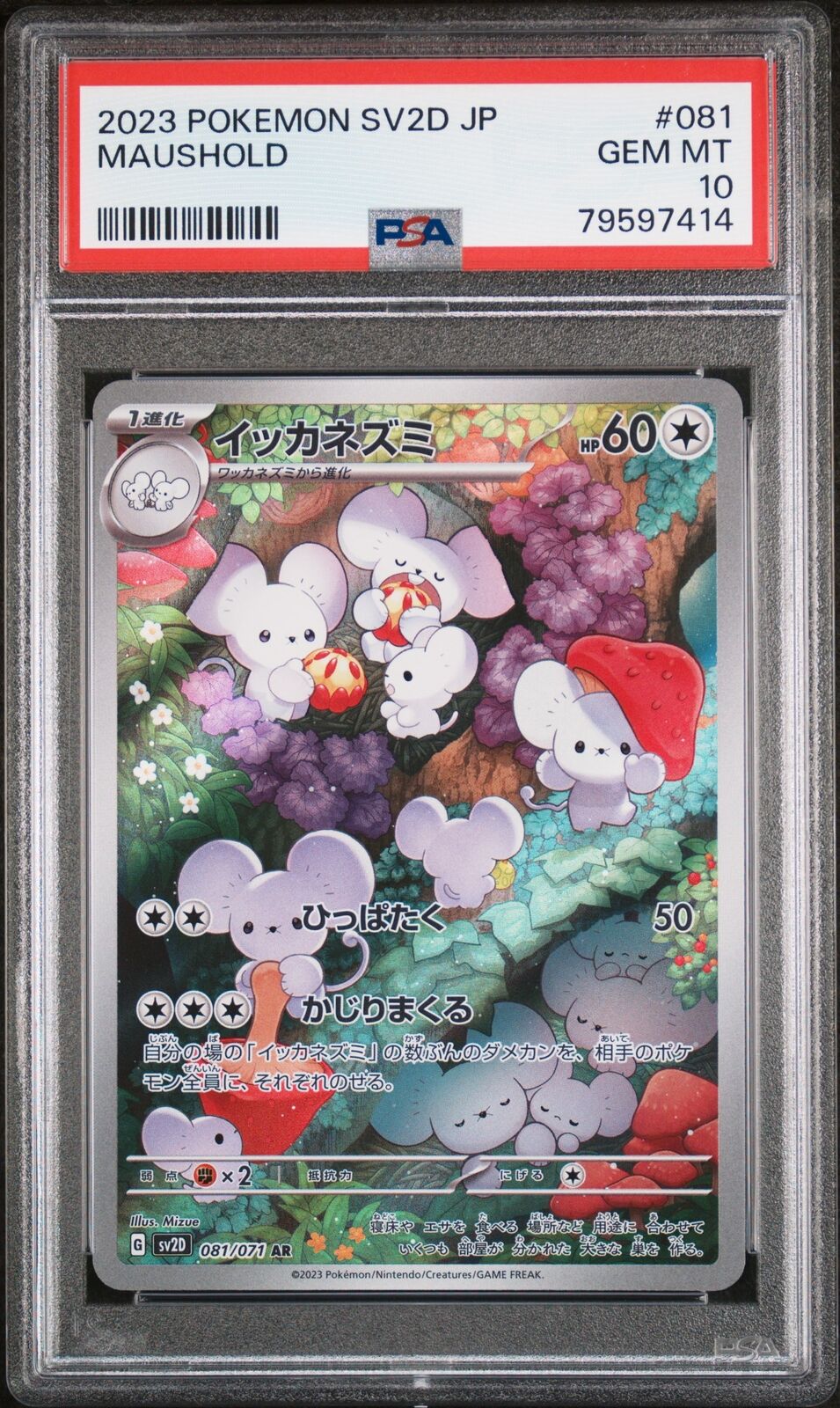 thumbnail image 2 of Pokemon Card Japanese Maushold AR 081/071 – Clay Burst SV2D, Full Art Holo Near Mint 2 of 2