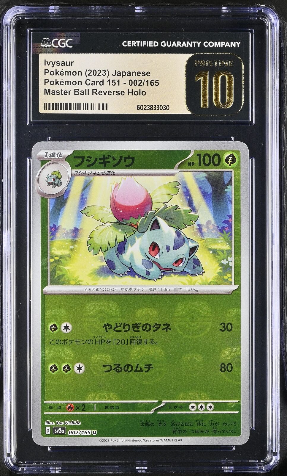 CGC 10 PRISTINE Japanese Pokemon 2023 Ivysaur 002/165 Master Ball Revse 151 sv2a