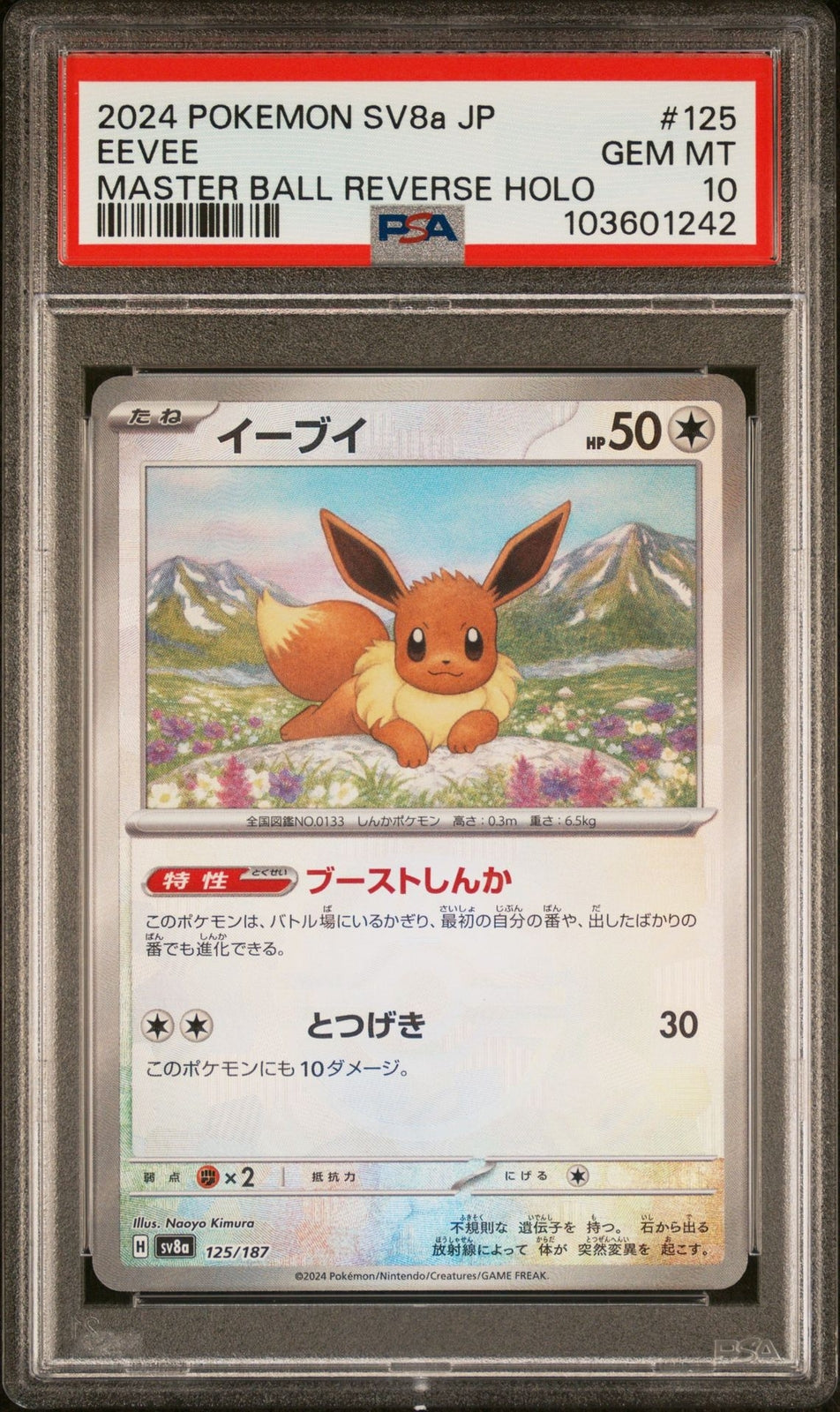 PSA 10 GEM MINT JAPANESE POKEMON 2024 EEVEE 125/187 MASTER BALL Terastal SV8a