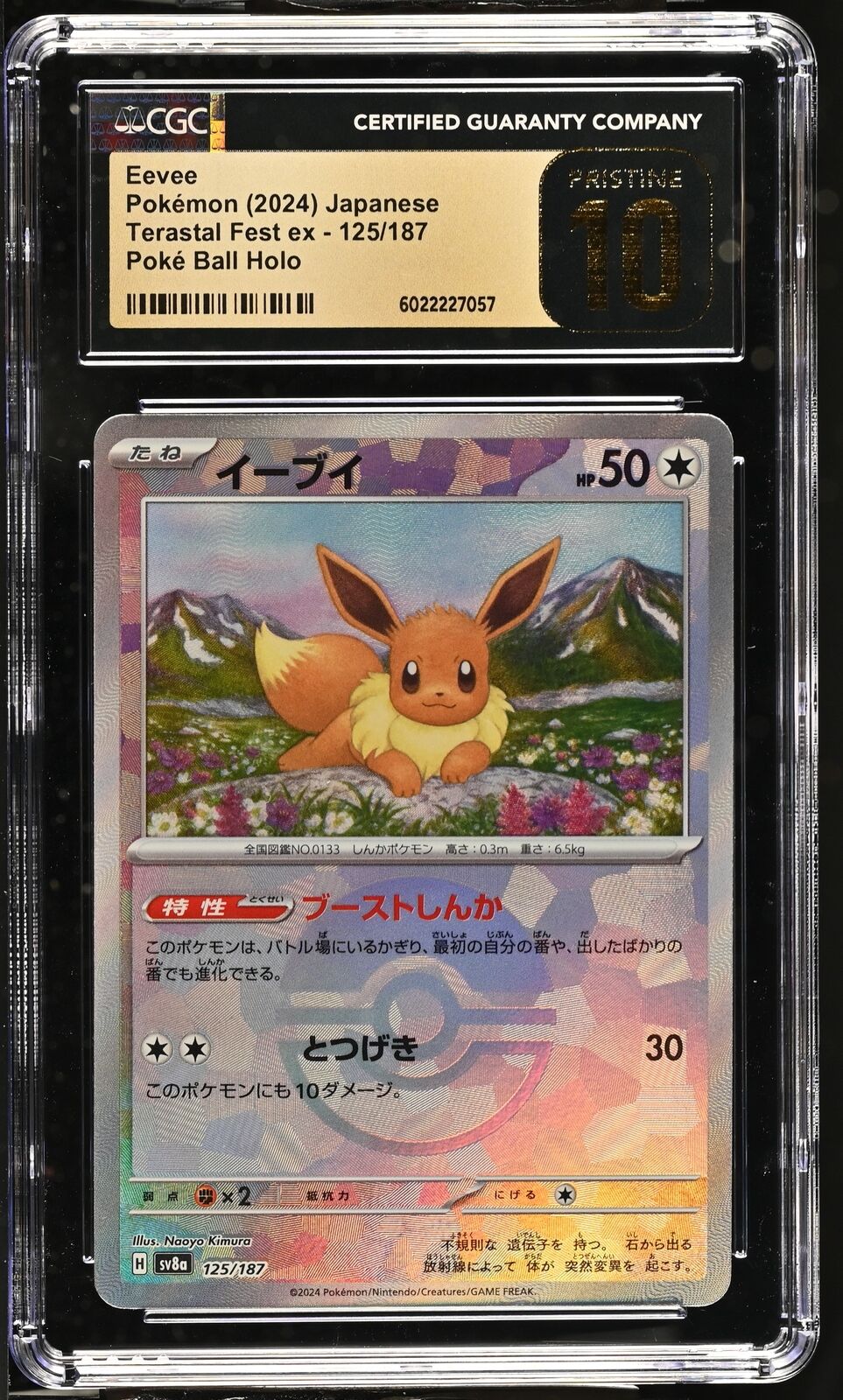 CGC 10 PRISTINE JAPANESE POKEMON 2024 EEVEE 125/187 REVERSE Terastal Fest SV8a