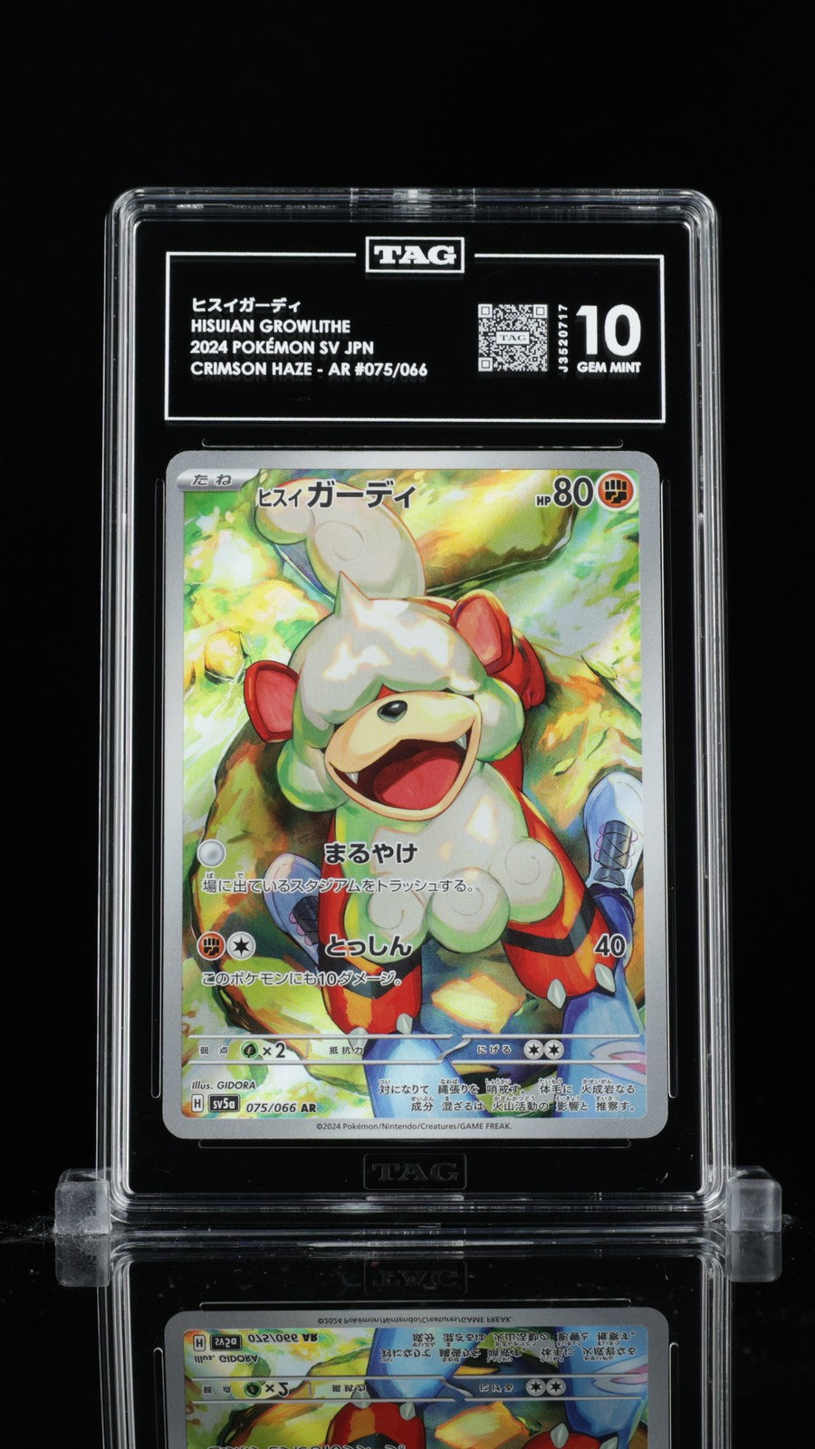 TAG 10 GEM MINT JAPANESE POKEMON Hisuian Growlithe 075/066 sv5a Crimson Haze AR