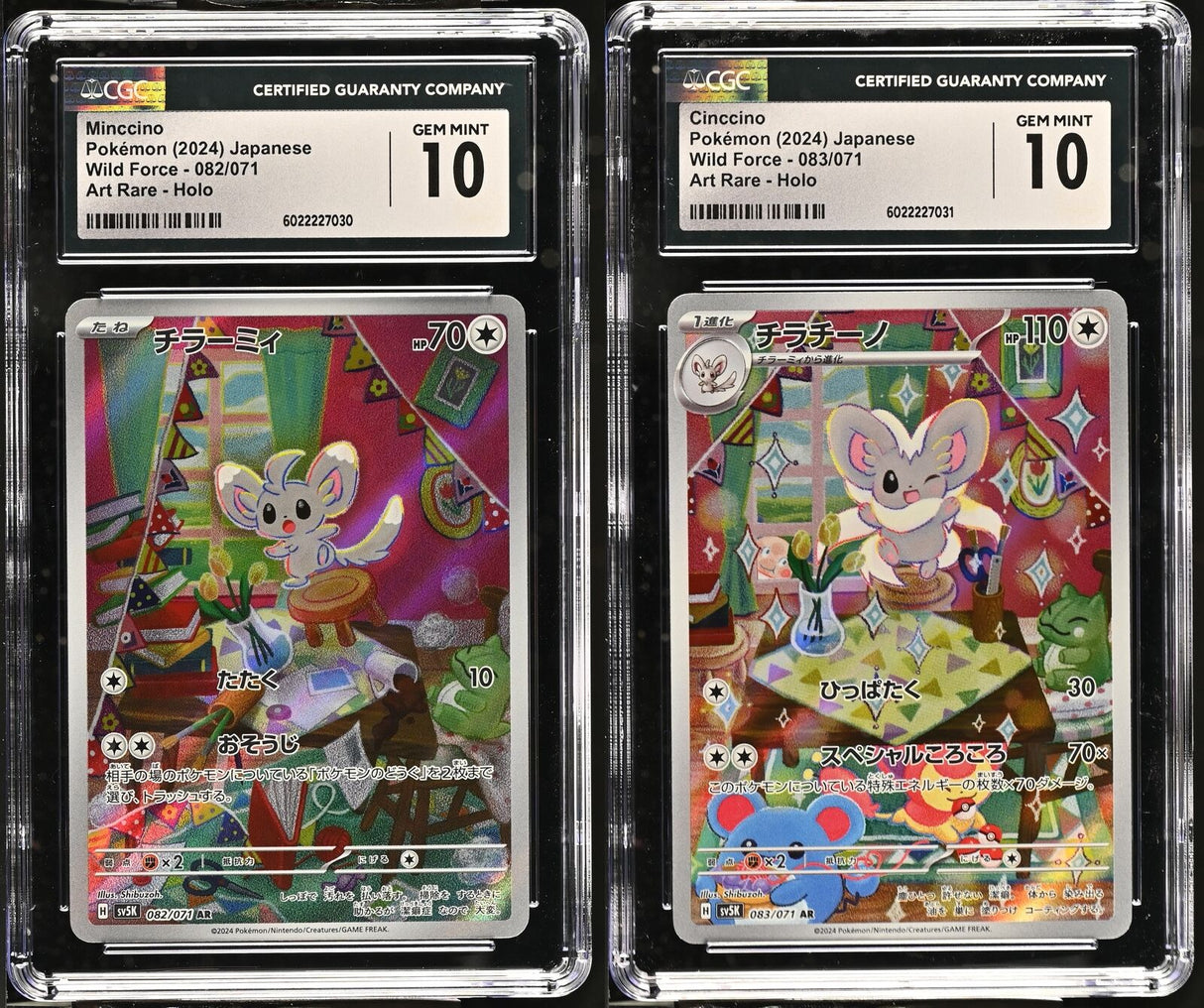 SET 2 CGC 10 Japanese Pokemon 2024 Minccino & Cinccino 082-3/071 SV5K SEQEUNTAIL