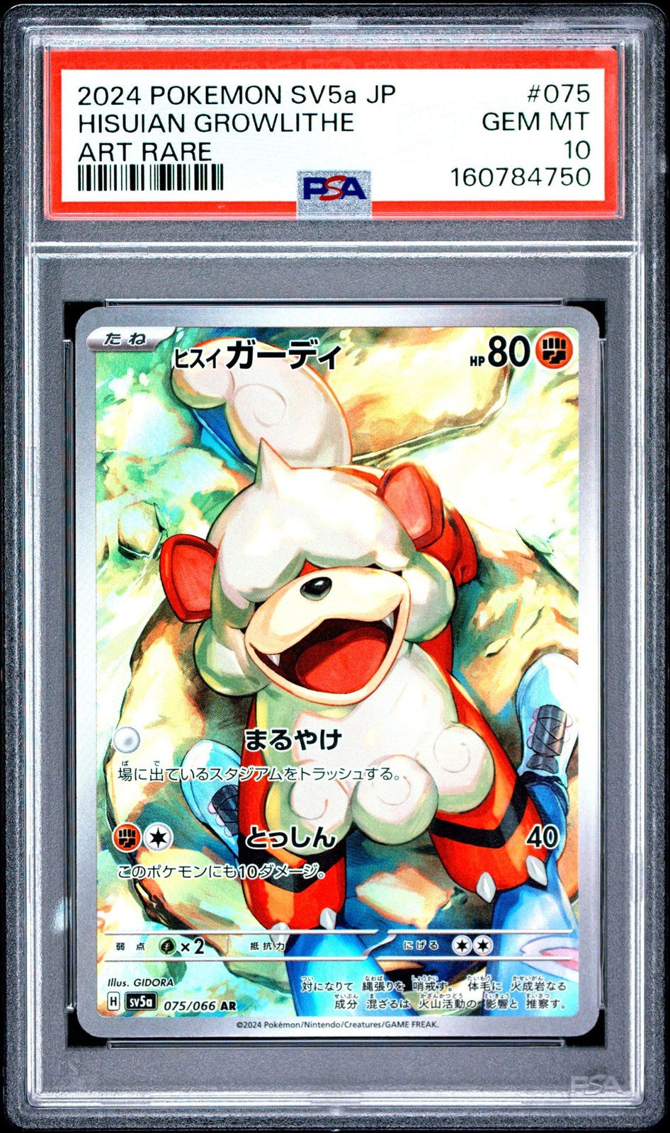 PSA 10 GEM MINT Japanese Pokemon 2024 Hisuian Growlithe 075/066 sv5a CrimsonHaze