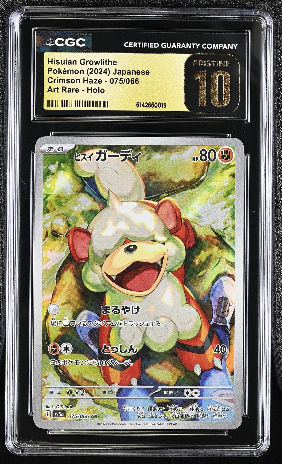 CGC 10 PRISTINE Japanese Pokemon 2024 Hisuian Growlithe 075/066 sv5a CrimsonHaze