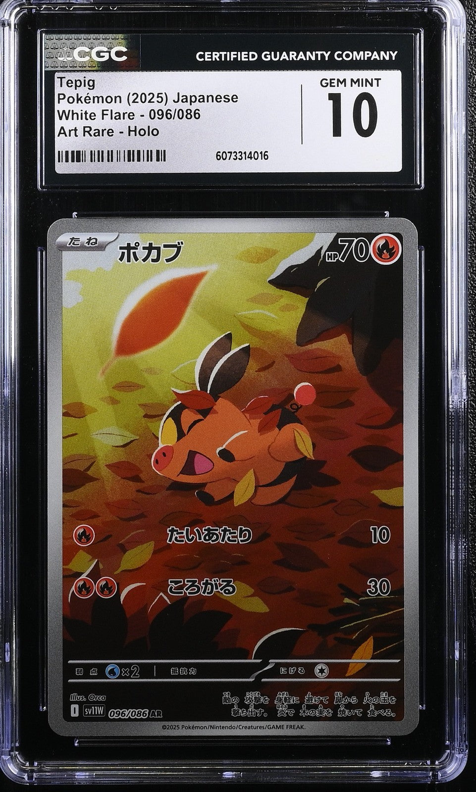 CGC 10 GEM MINT JAPANESE POKEMON 2025 Tepig 096/086 White Flare SV11W
