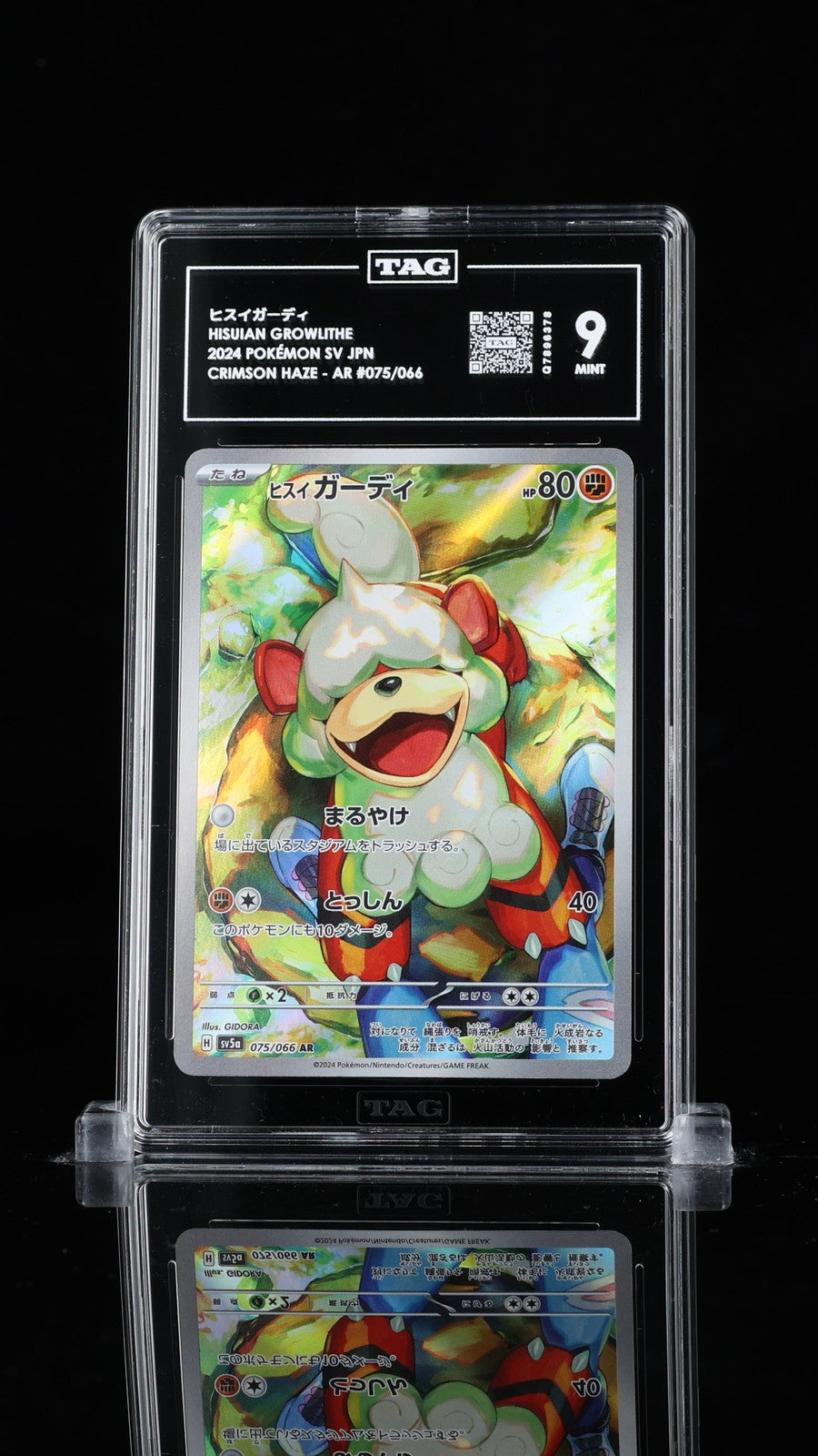 TAG 9 MINT JAPANESE POKEMON Hisuian Growlithe 075/066 sv5a Crimson Haze AR