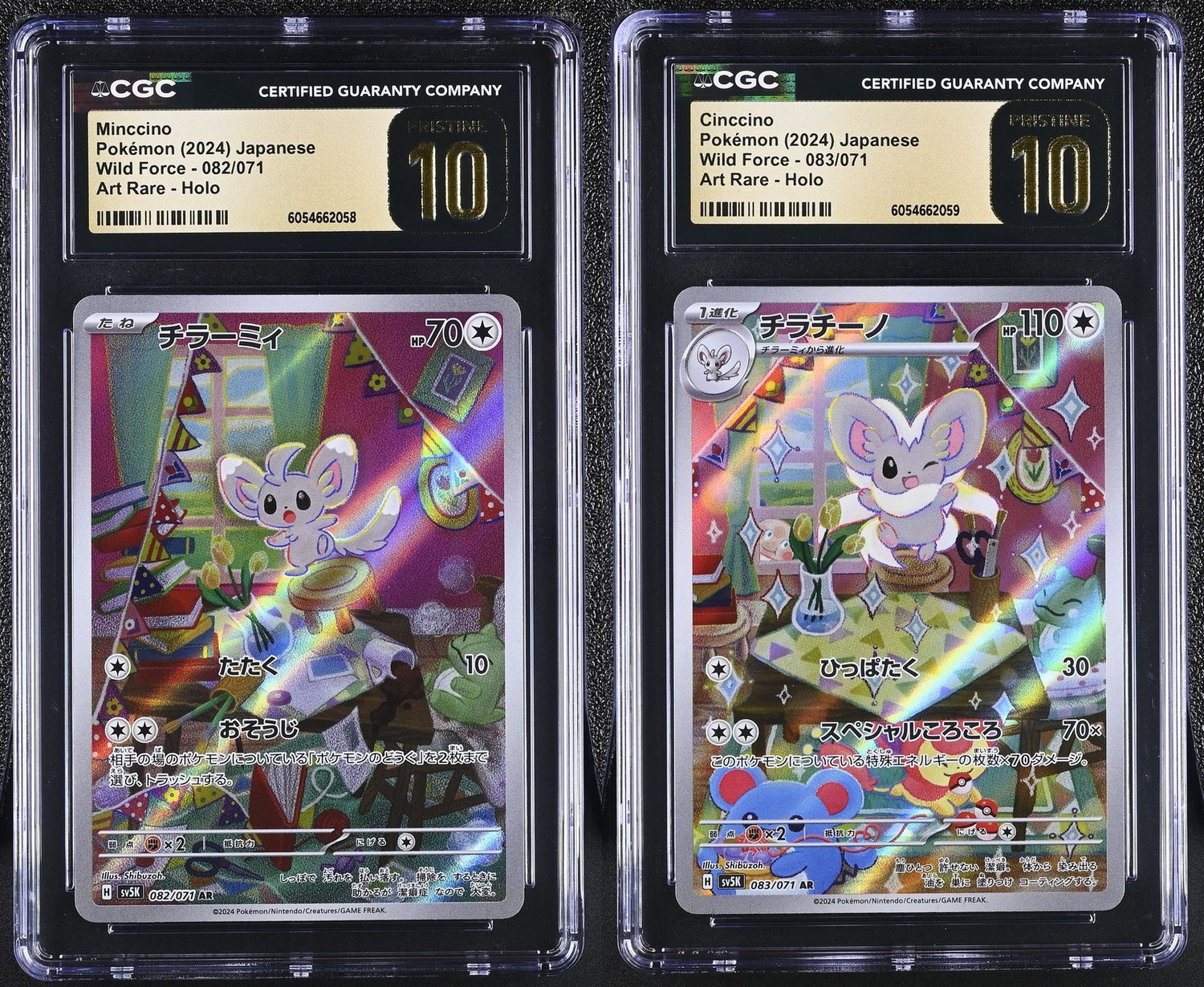SET 2 CGC 10 PRISTINE Japanese Pokemon 2024 Minccino Cinccino SV5K SEQUENTIAL