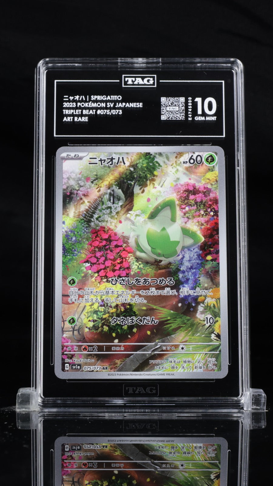 TAG 10 GEM MINT JAPANESE POKEMON 2023 SPRIGATITO 075/073 SV1a