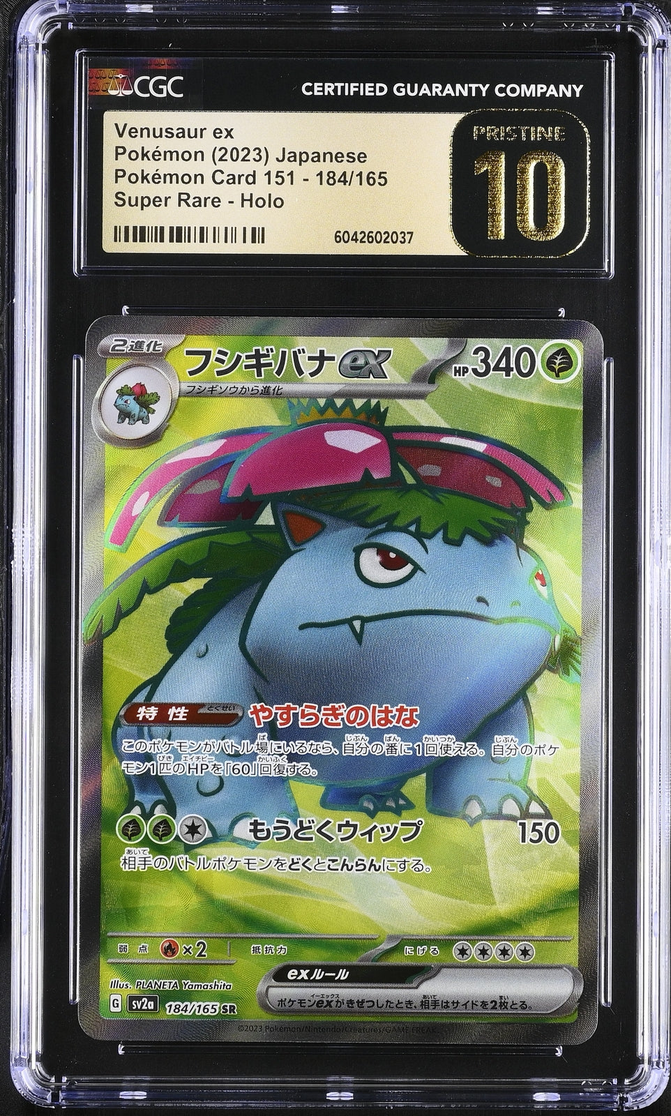 CGC 10 PRISTINE Japanese Pokemon 2023 Venusaur ex 184/165 Pokémon 151 SV2a