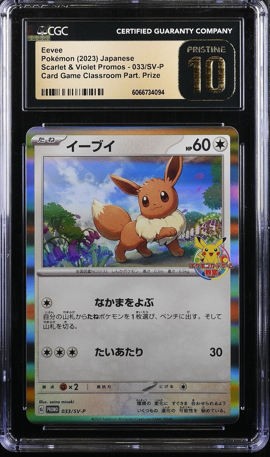 CGC 10 PRISTINE Japanese Pokemon 2023 Eevee 033/SV-P PROMO