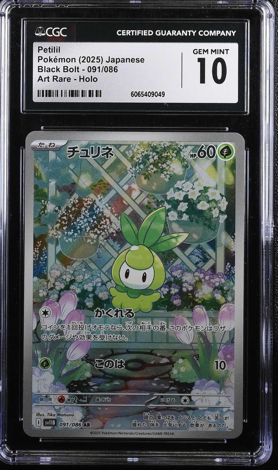 CGC 10 GEM MINT JAPANESE POKEMON 2025 Petilil 091/086 Black SV11B