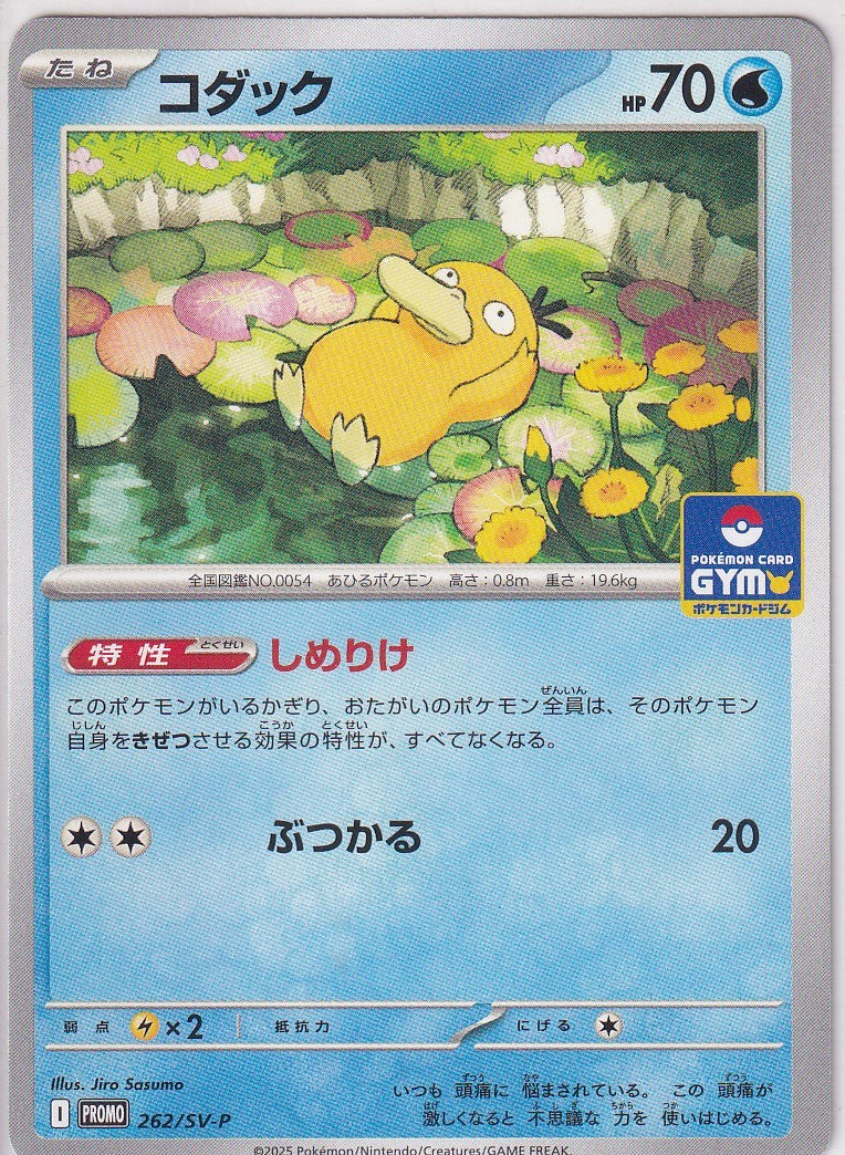 JAPANESE POKEMON CARD Psyduck 262/SV-P Reverse Holo PROMO NM