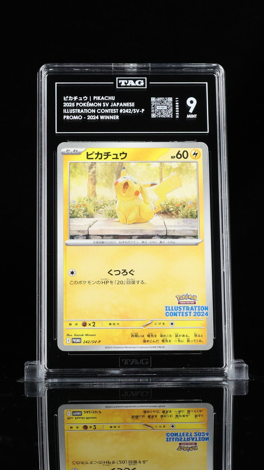 TAG 9 MINT JAPANESE POKEMON 2025 242/SV-P PROMO llustration 2024 Winner