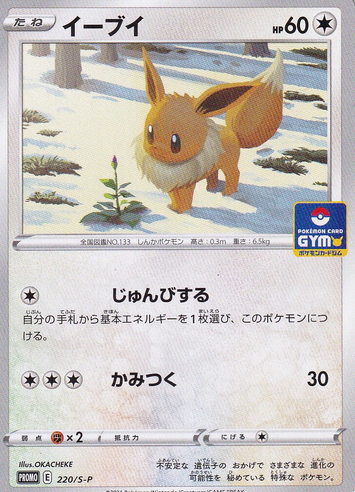 Japanese Pokemon Card 2021 Eevee 220/S-P PROMO CARD GYM