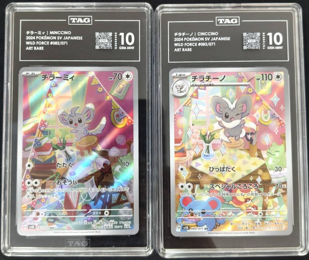 SET 2 TAG 10 GEM MINT Japanese Pokemon 2024 Minccino & Cinccino 082-3/071 SV5K