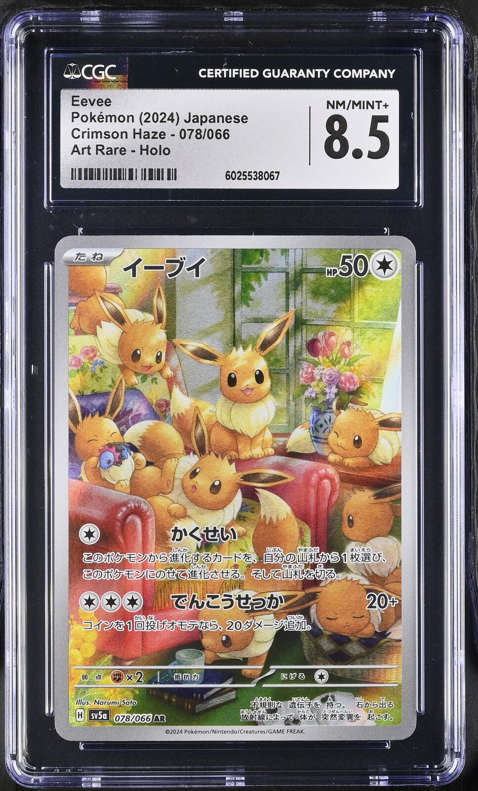 CGC 8.5 NM/INT+ Japanese Pokemon 2024 EEVEE 078/066 SV5a ART RARE