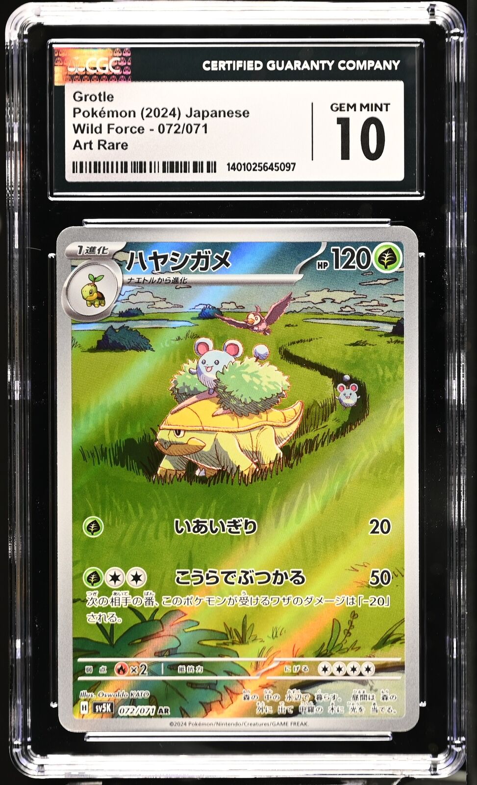 CGC 10 GEM MINT JAPANESE POKEMON 2024 Grotle 072/071 SV5K WILD FORCE AR