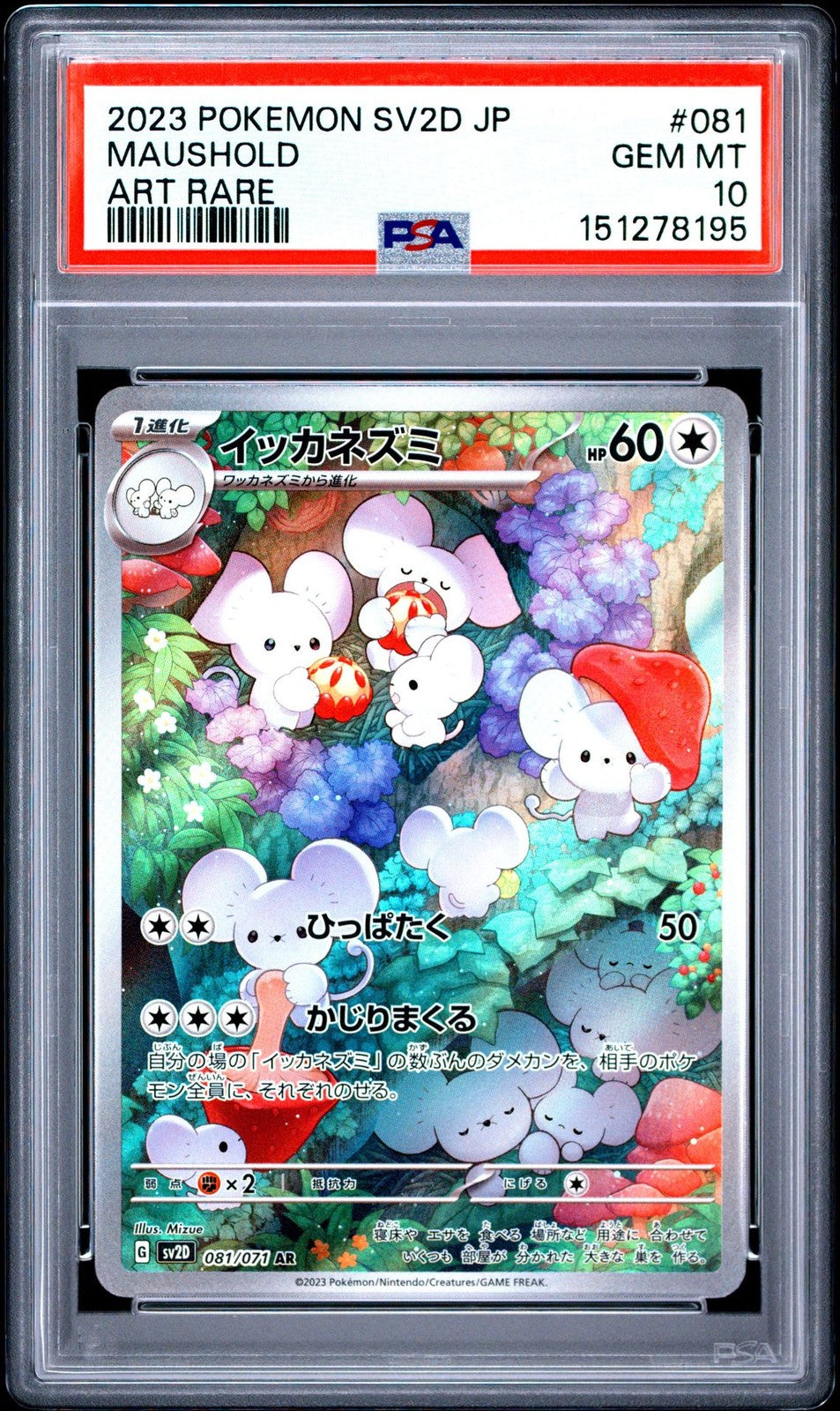 PSA 10 GEM MINT Japanese Pokemon 2023 Maushold 081/071 AR Clay Burst Sv2D