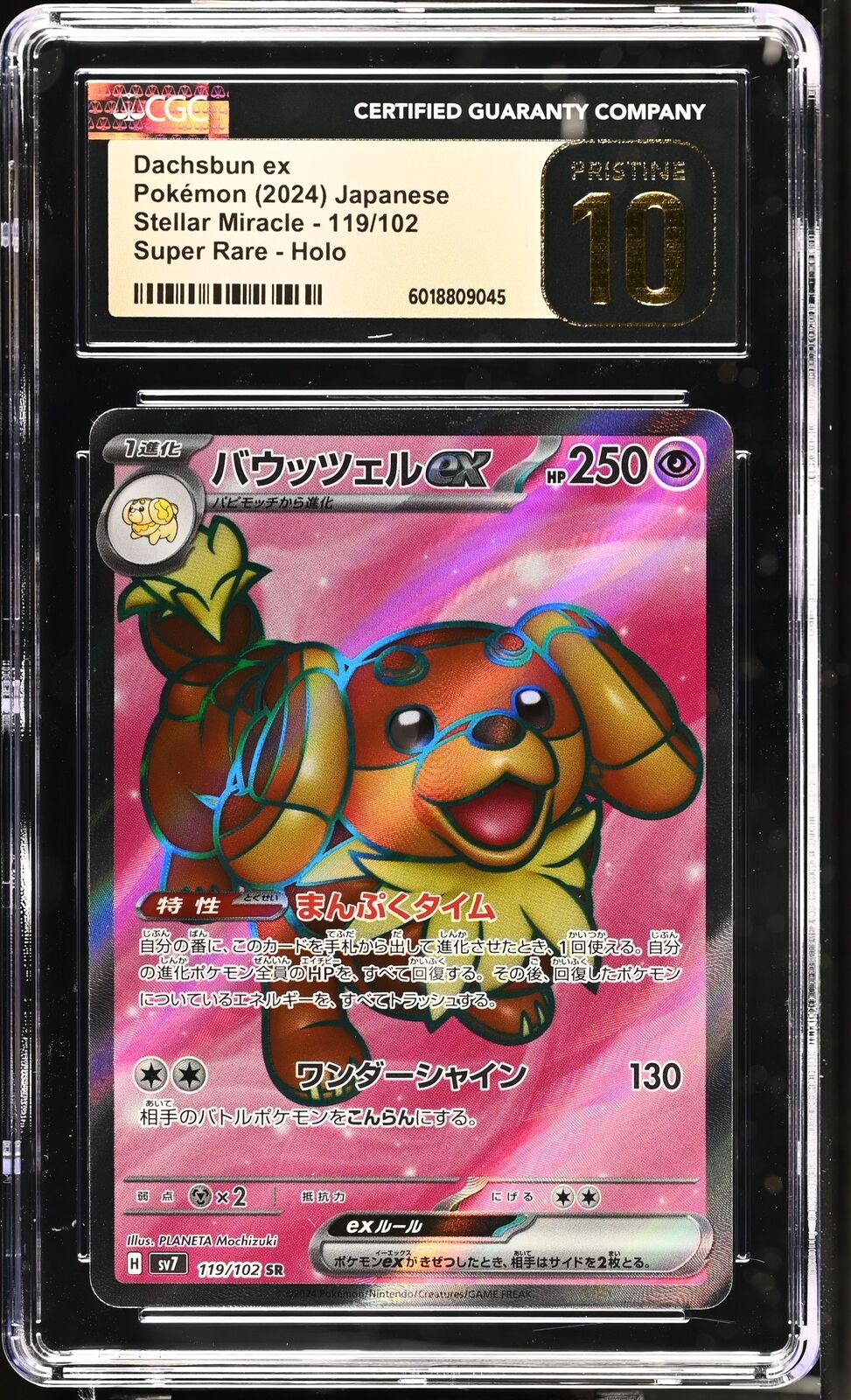 CGC 10 PRISTINE JAPANESE POKEMON 2024 Dachsbun ex 119/102 Stella Miracle SV7