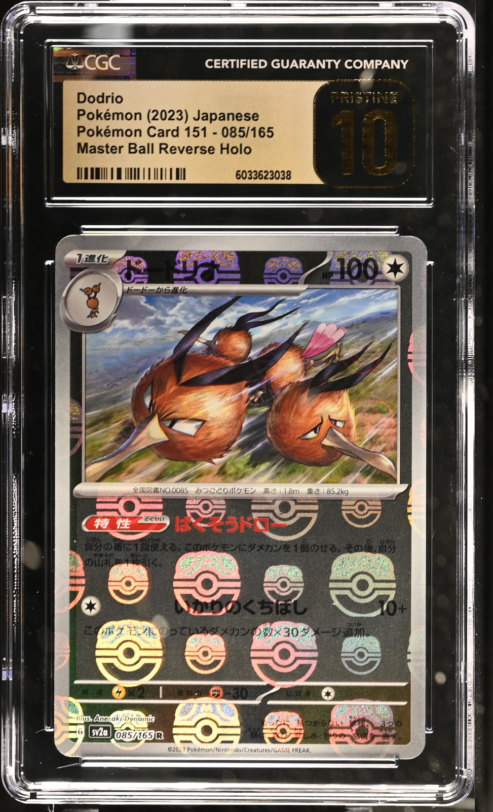 CGC 10 PRISTINE Japanese Pokemon 2023 Dodrio 085/165 MASTER BALL REV. 151 SV2a
