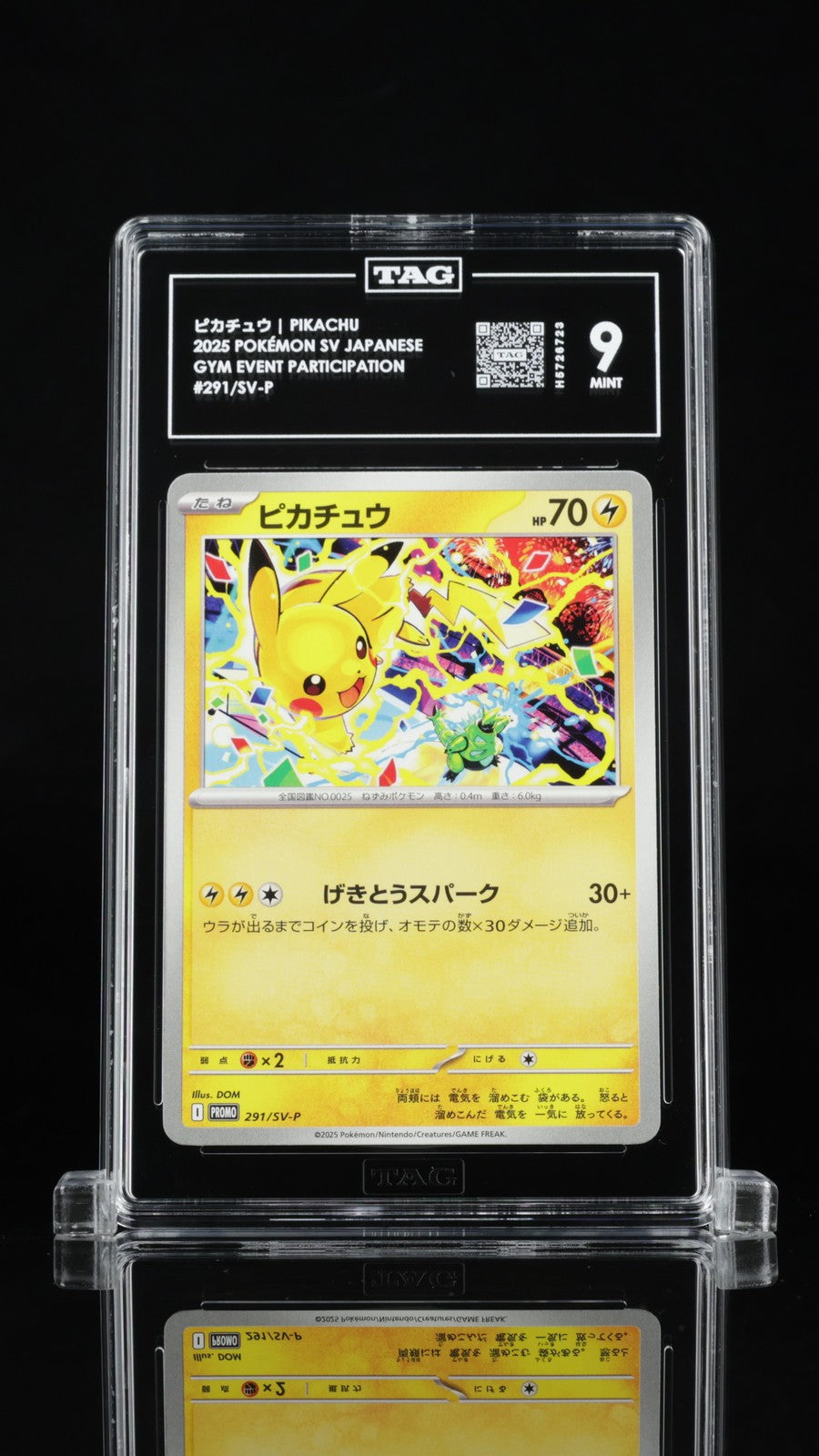TAG 9 MINT Japanese Pokemon 2025 Pikachu 291/SV-P Gym Promo