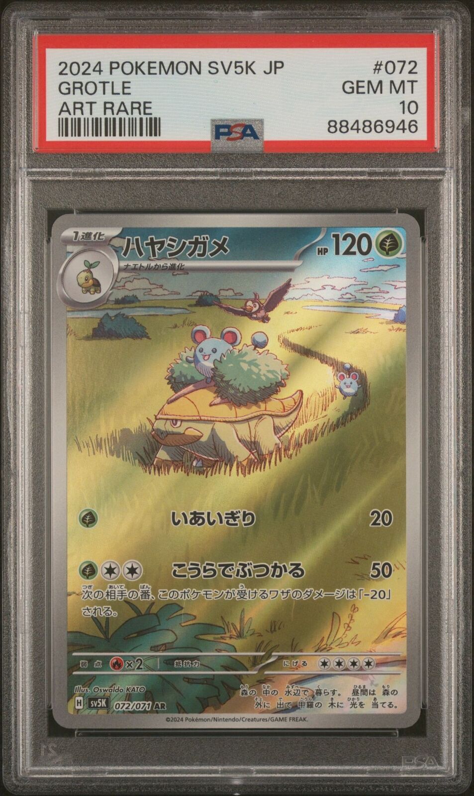 PSA 10 GEM MINT JAPANESE POKEMON 2024 GROTLE 082/071 SV5K WILD FORCE AR