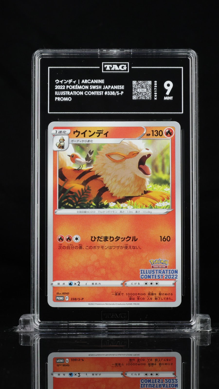 TAG 9 MINT JAPANESE POKEMON 2022 ARCANINE 338/S-P ILLUSTRATION  PROMO