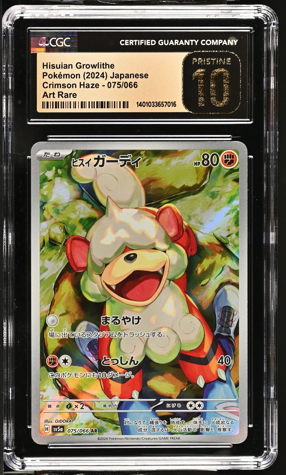 CGC 10 PRISTINE Japanese Pokemon 2024 Hisuian Growlithe 075/066 sv5a CrimsonHaze