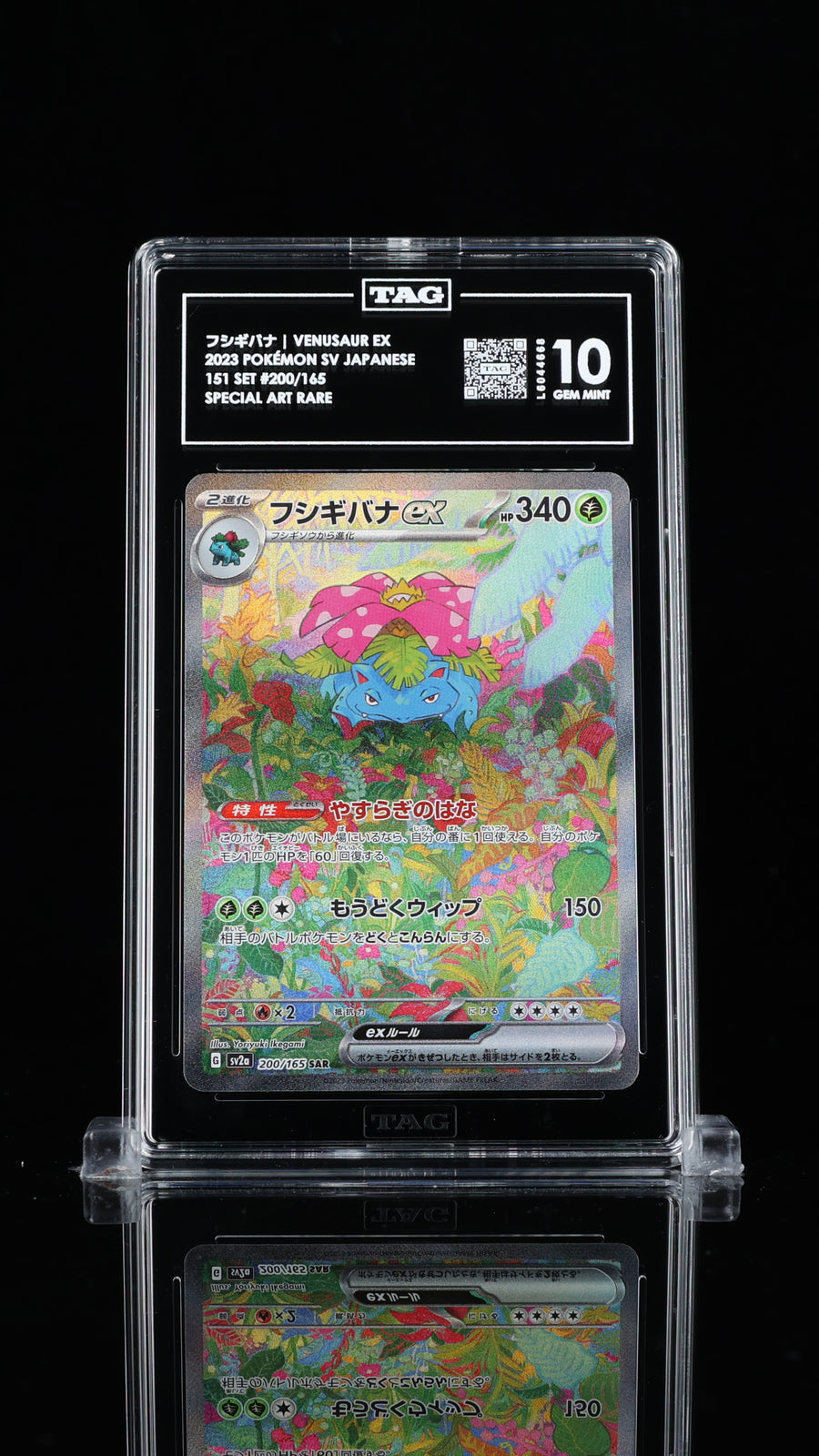 TAG 10 GEM MINT Japanese Pokemon 2023 Venusaur ex 200/165 SAR Pokémon 151 sv2a