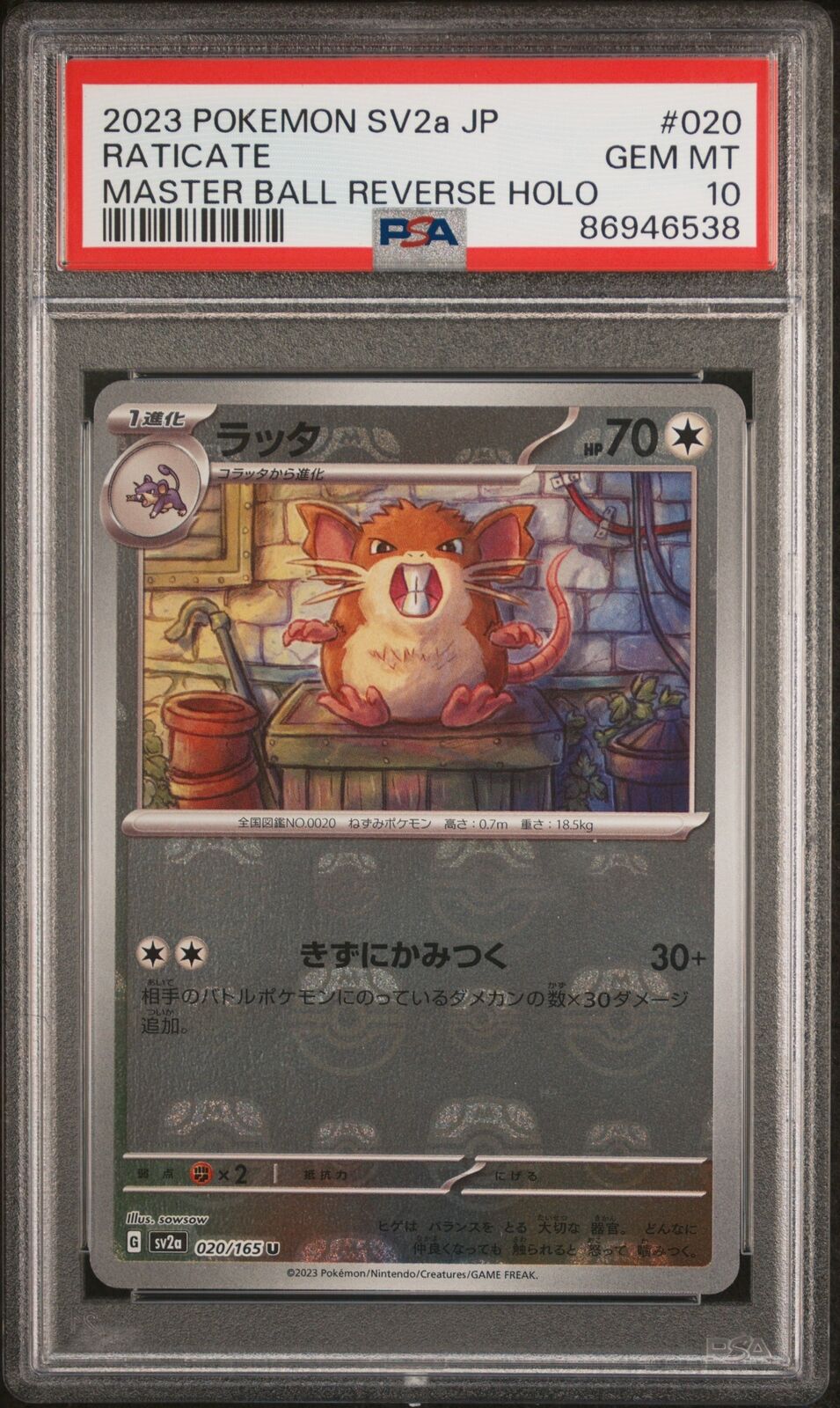 PSA 10 GEM MINT JAPANESE POKEMON 2023 RATICATE 020/165 MASTER BALL SV2a