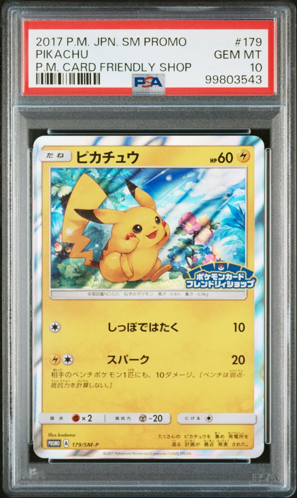 PSA 10 GEM MINT JAPANESE POKEMON 2017 PIKACHU 179/SM-P PROMO