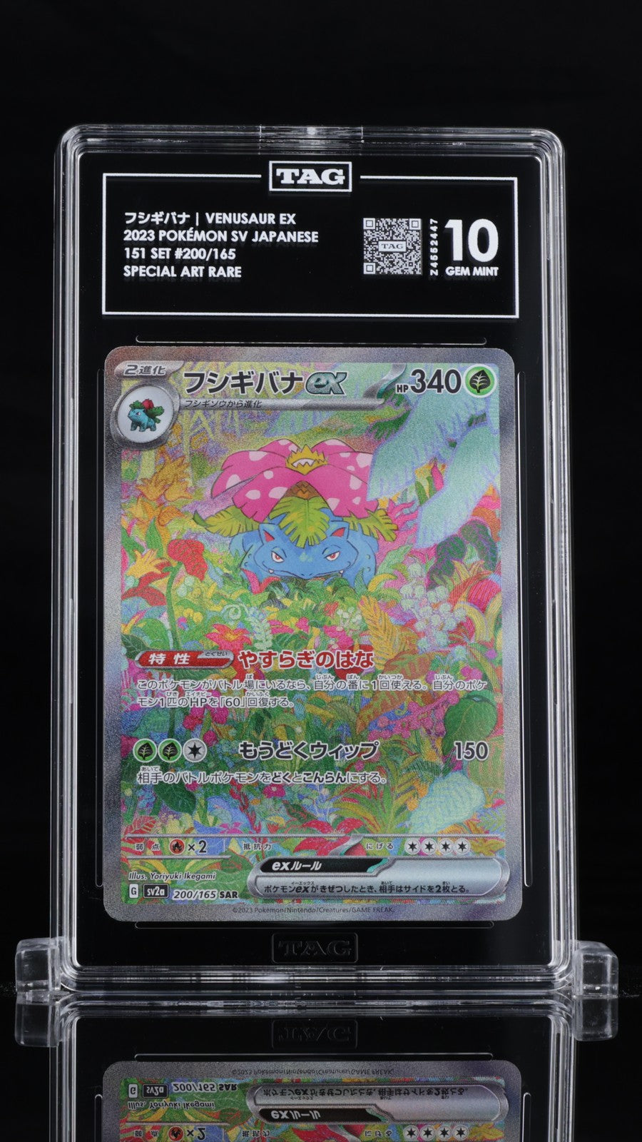 TAG 10 GEM MINT Japanese Pokemon 2023 Venusaur ex 200/165 SAR Pokémon 151 sv2a