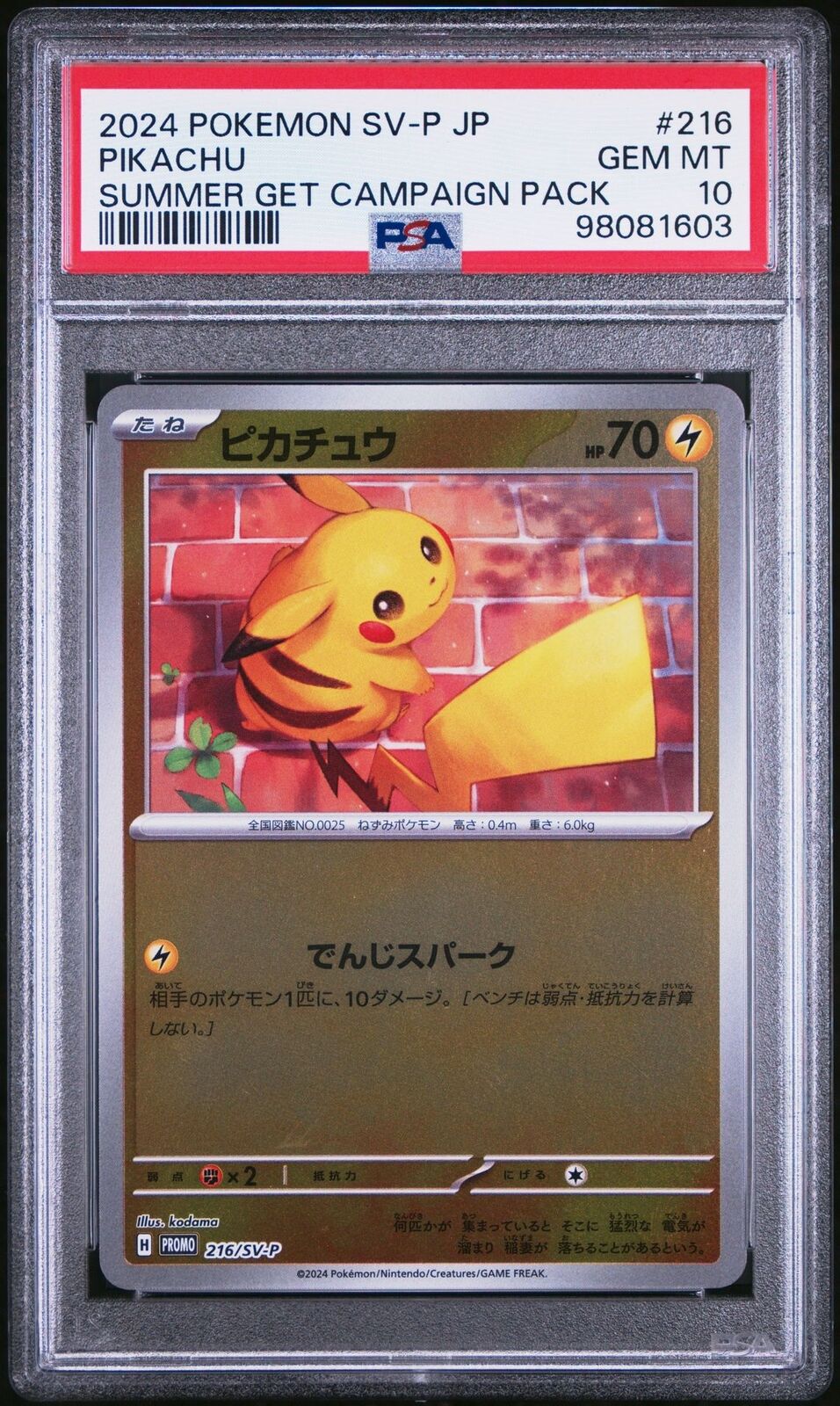 PSA 10 GEM MINT JAPANESE POKEMON 2024 Pikachu 216/SV-P SUMMER GET PROMO