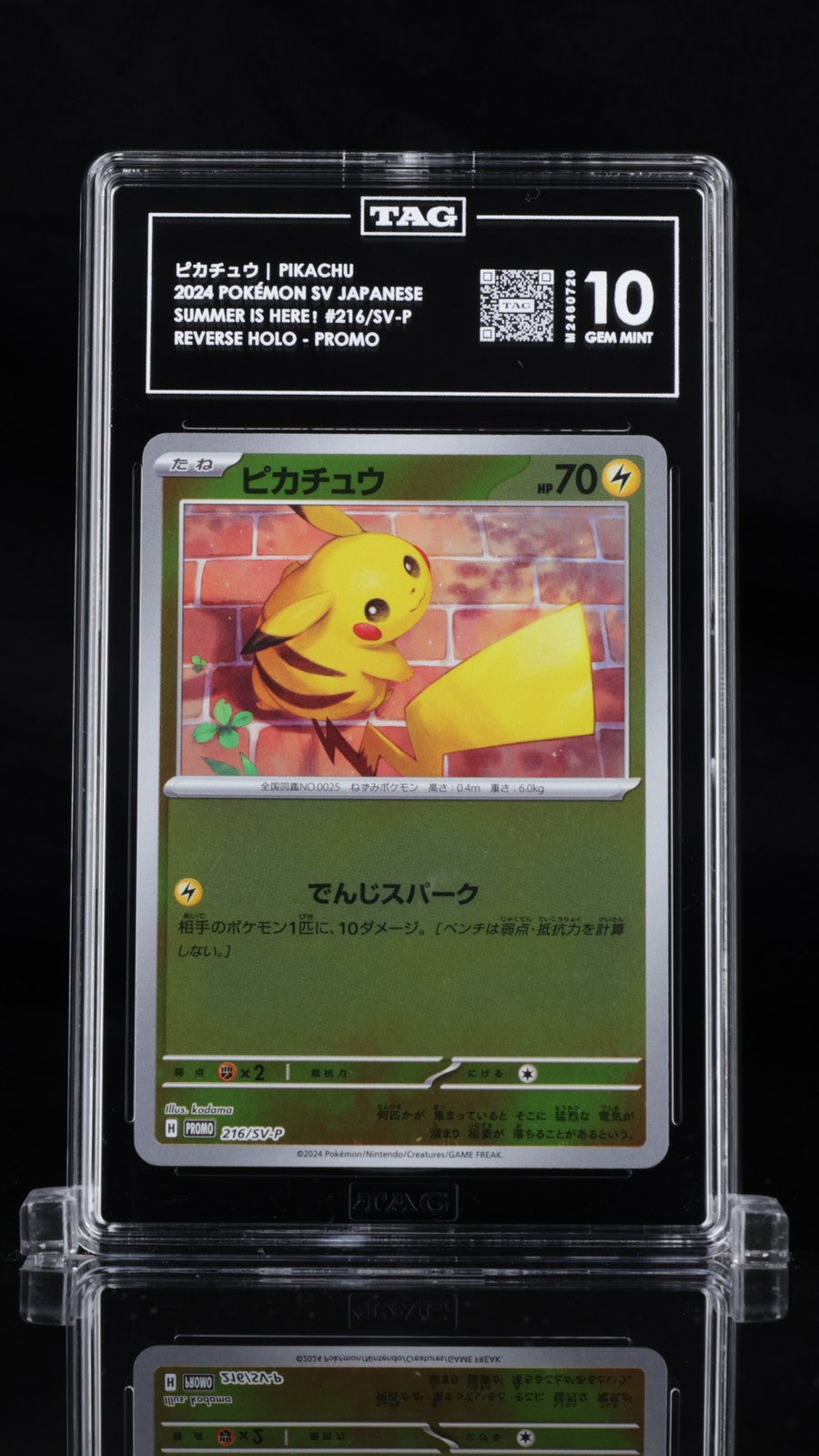 TAG 10 GEM MINT JAPANESE POKEMON 2024 Pikachu 216/SV-P SUMMER GET PROMO