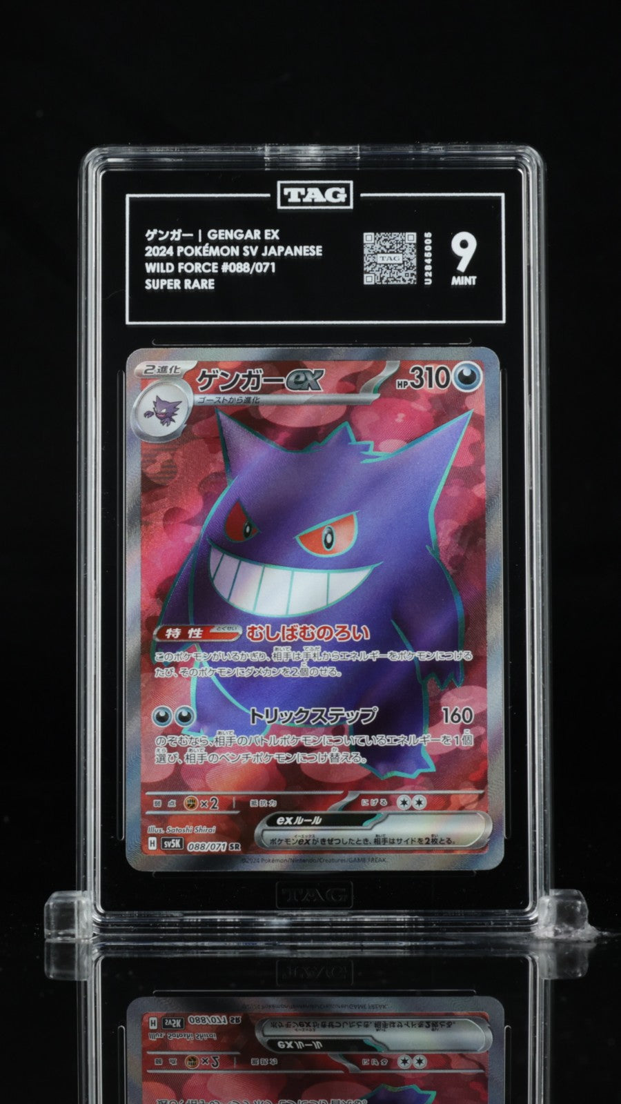 TAG 9 MINT Japanese Pokemon 2024 GENGAR EX 088/071 SV5K WILD FORCE SR