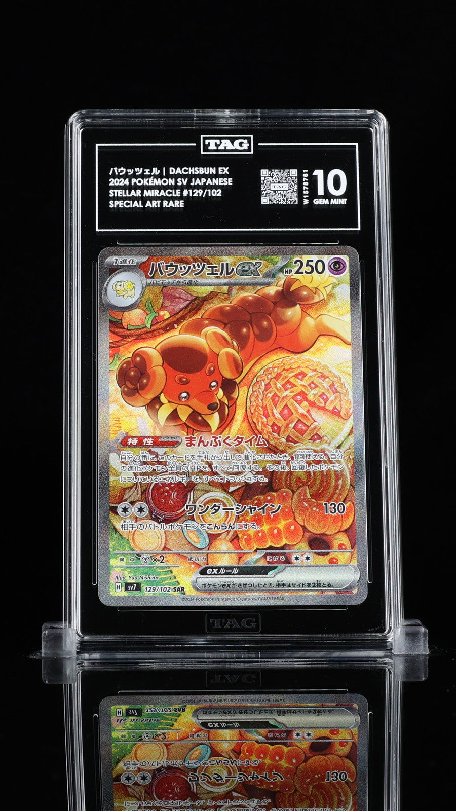 TAG 10 GEM MINT JAPANESE POKEMON 2024 Dachsbun ex 129/102 Scarlet & Violet SV7