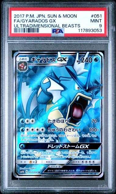 Gyarados Pokémon Card Collecting PKM HOBBY – PKMhobby