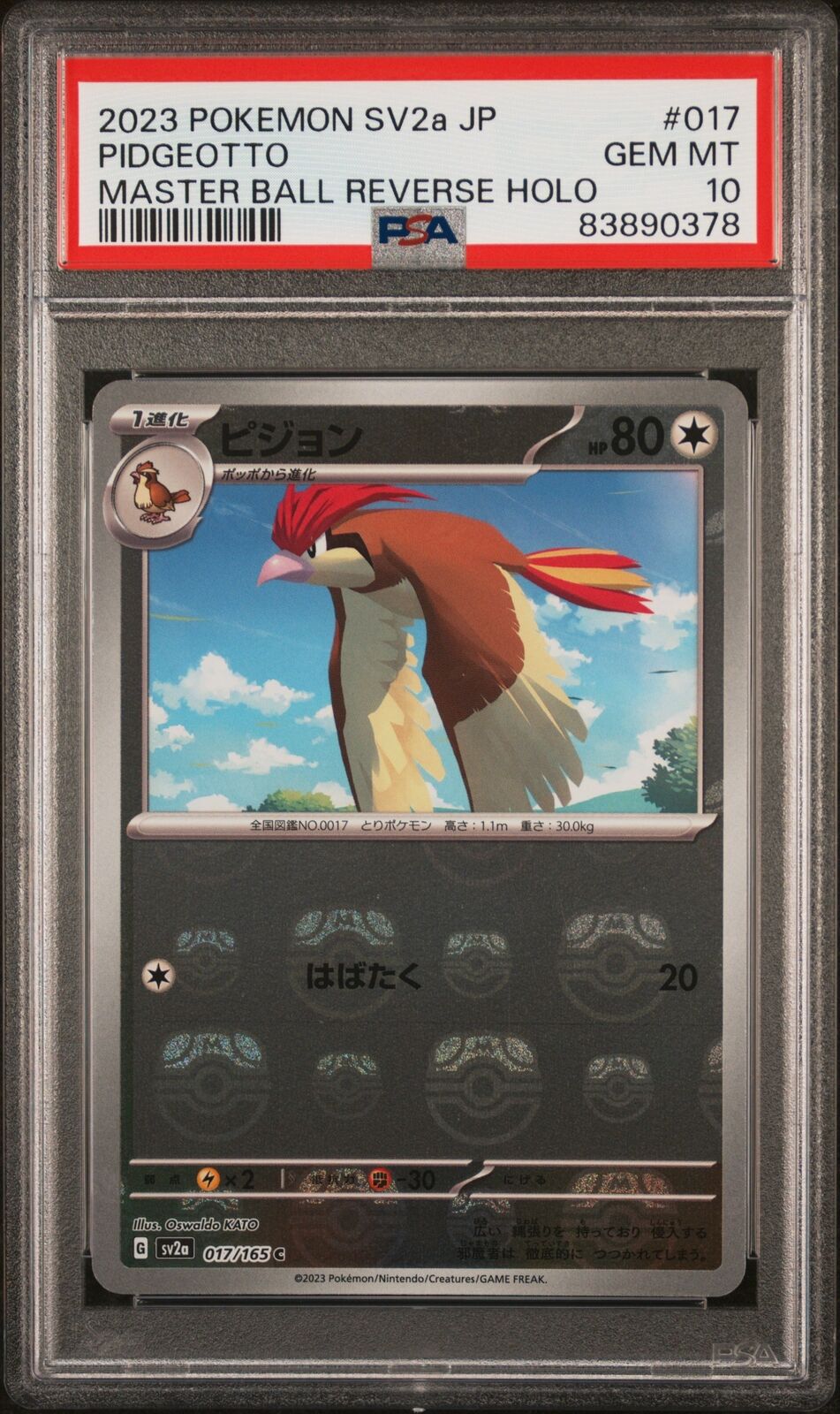 PSA 10 GEM MINT JAPANESE POKEMON 2023 PIDGEOTTO 017/165 MASTER BALL REV 151 SV2a