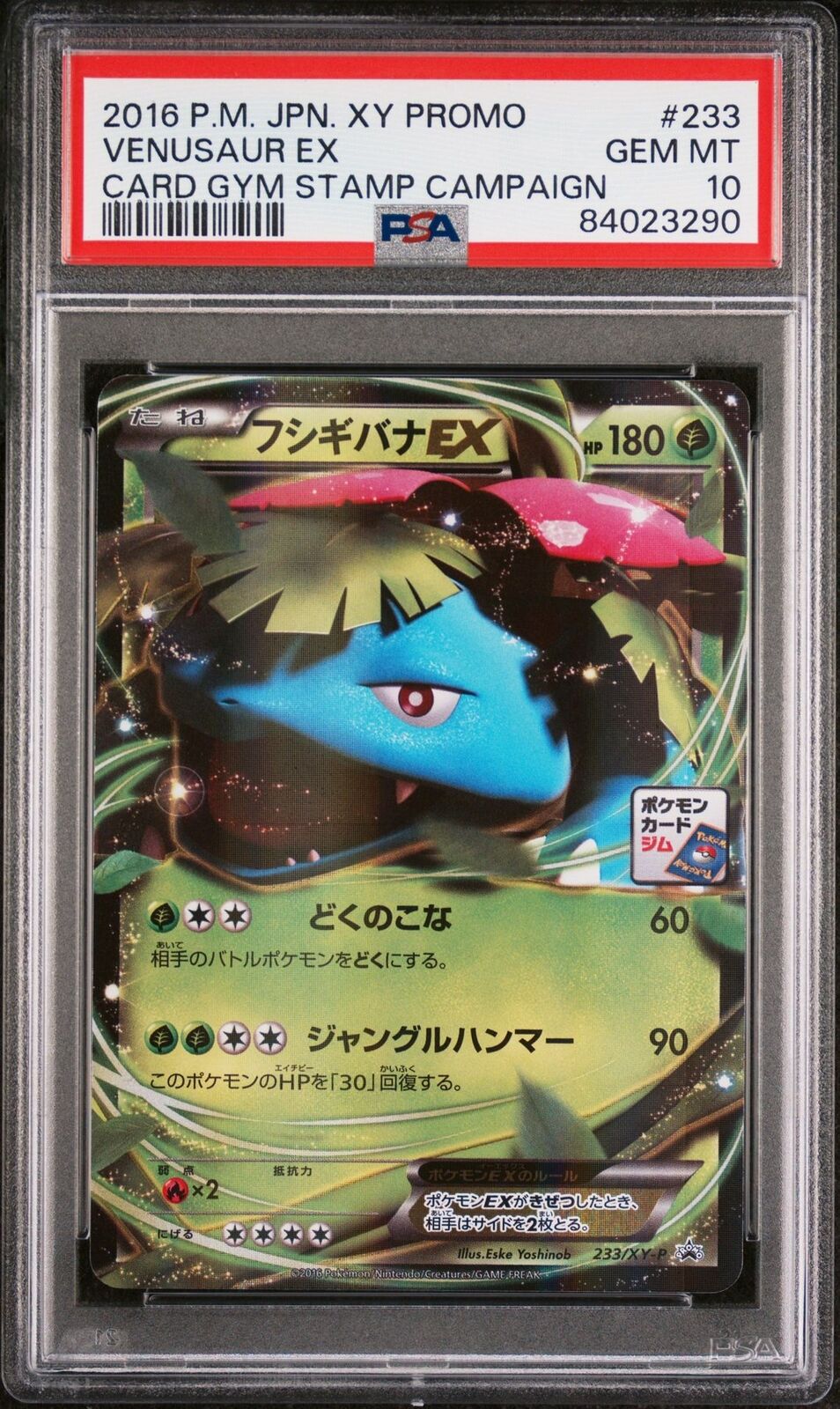 PSA 10 GEM MINT JAPANESE POKEMON 2016 VENUSAUR EX 233/XY-P CARD GYM STAMP