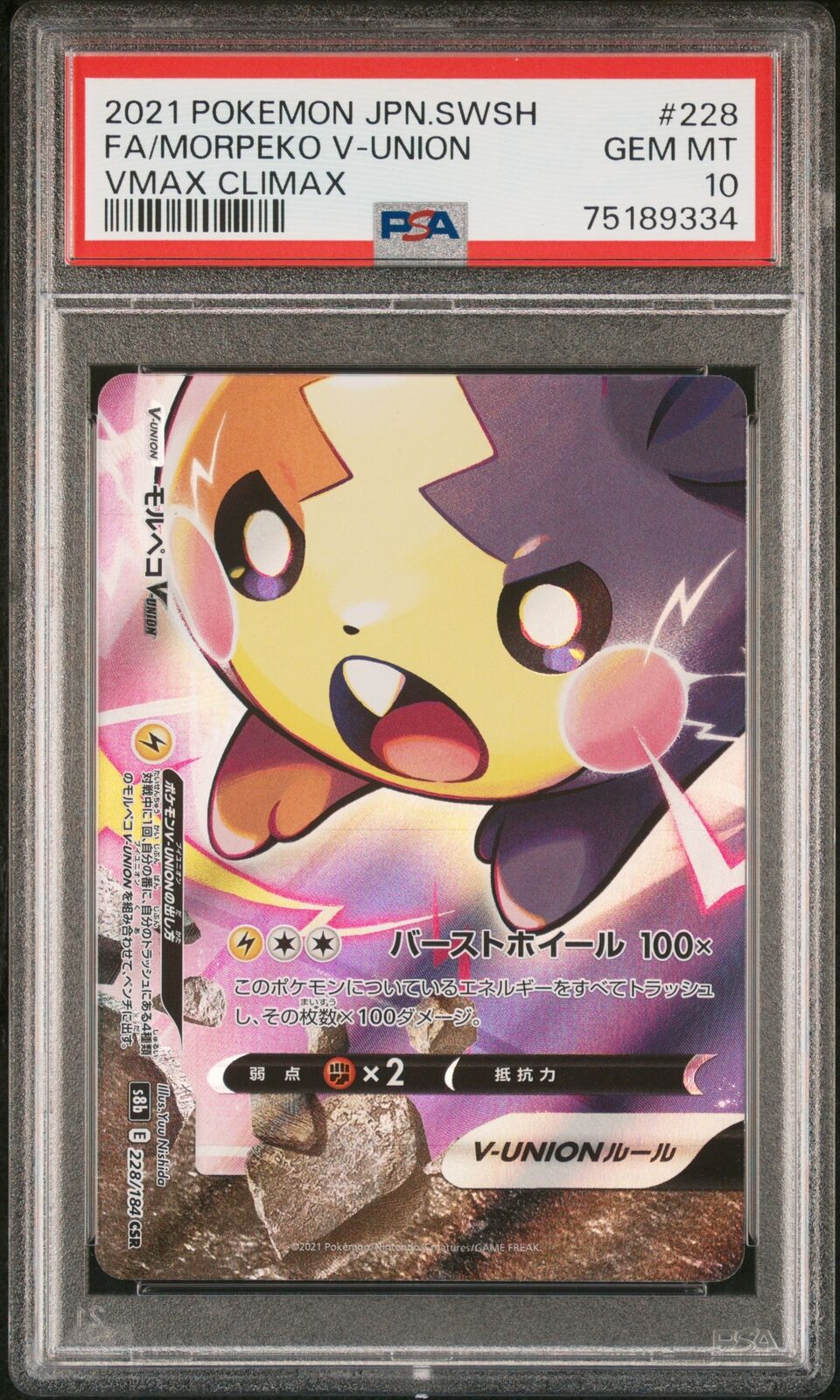 PSA 10 GEM MINT JAPANESE POKEMON 2021 MORPEKO V-UNION 228/184 VMAX CLIMAX S8b