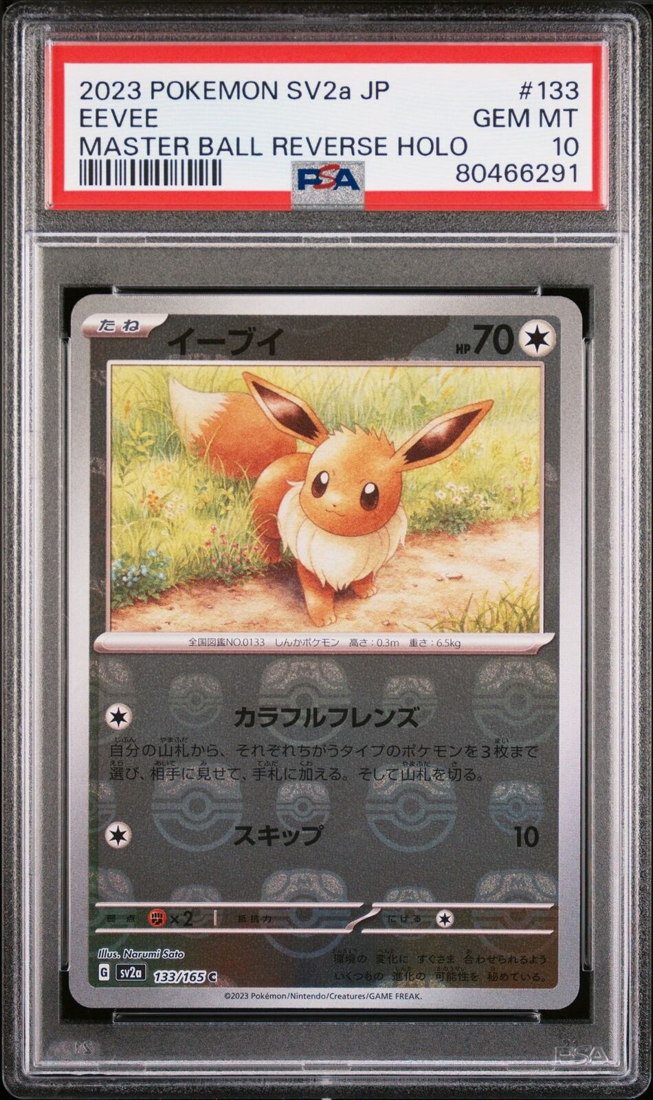 2023年 イーブイ SV-P-JP GEM MT 10 2023 Pokemon Japanese - CGC 10 - Eevee Promo 031/SV-P Gym Stamp | eBay
