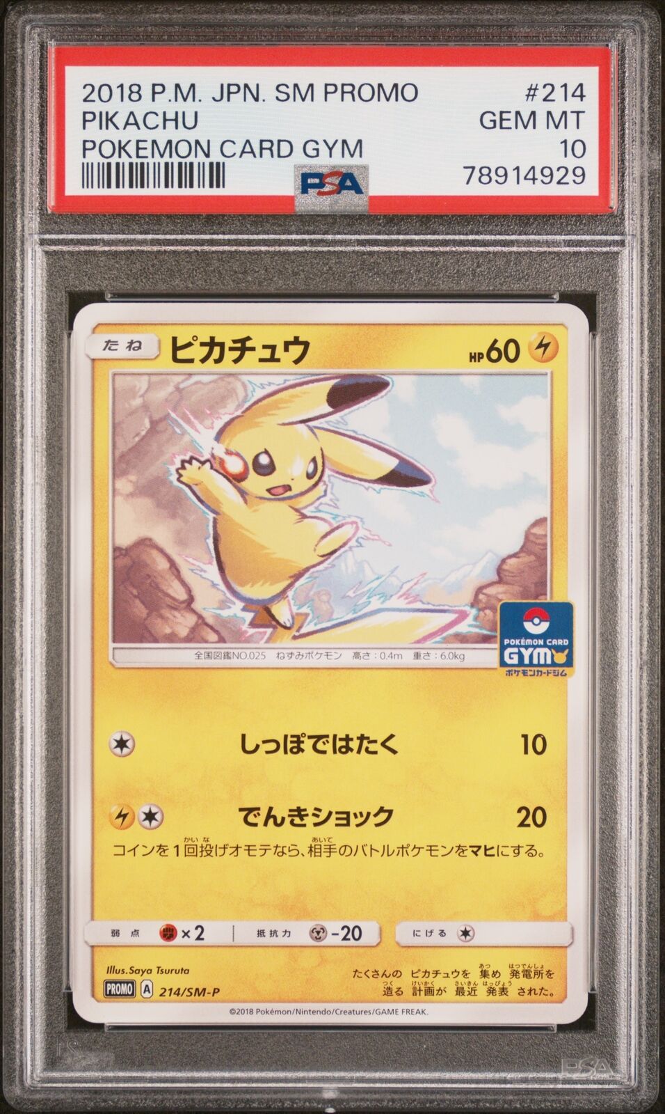 PSA 10 GEM MINT JAPANESE POKEMON 2018 PIKACHU GYM 214/SM-P PROMO