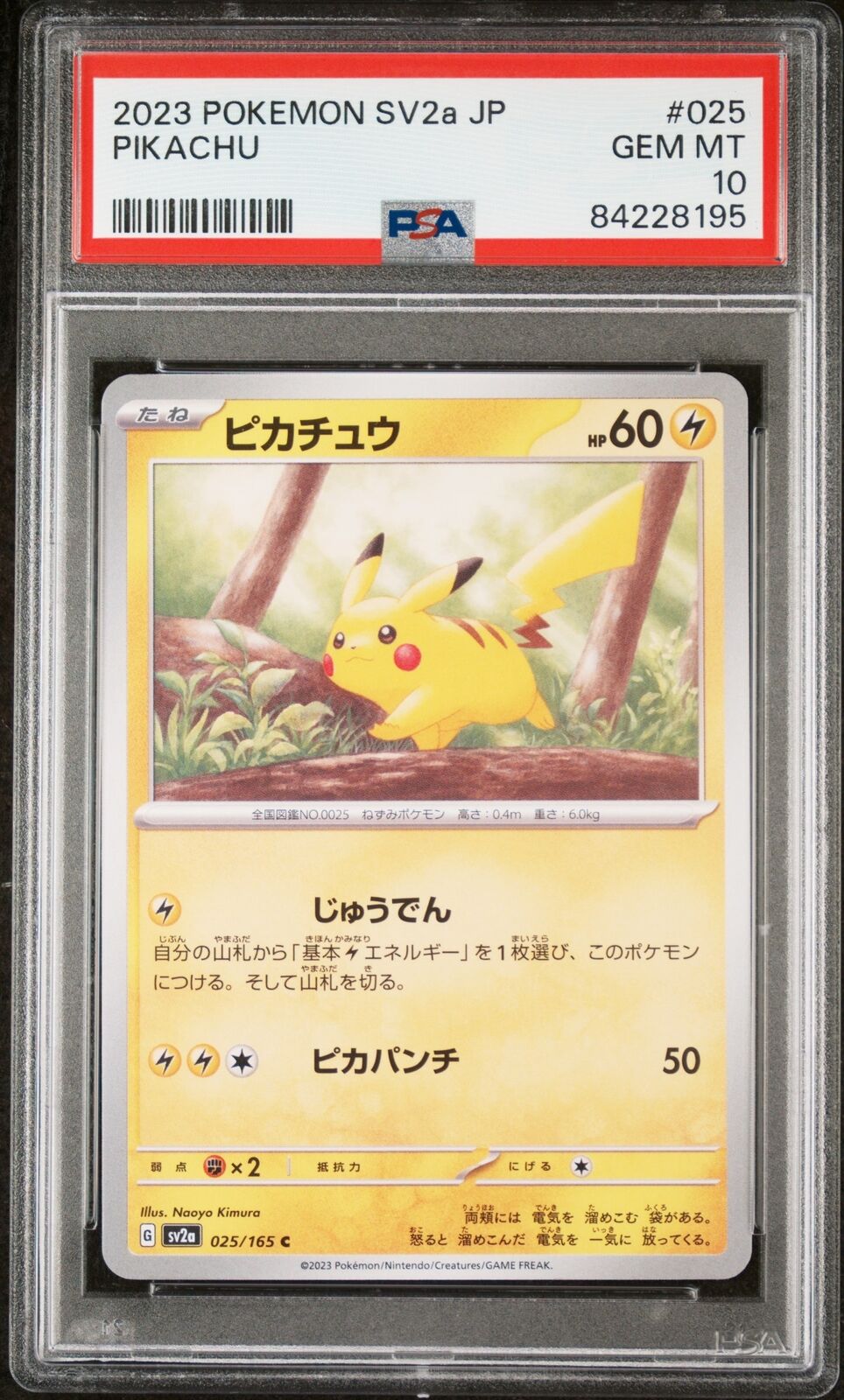 PSA 10 GEM MINT JAPANESE POKEMON 2023 PIKACHU 025/165 AR POKEMON 151 SV2a