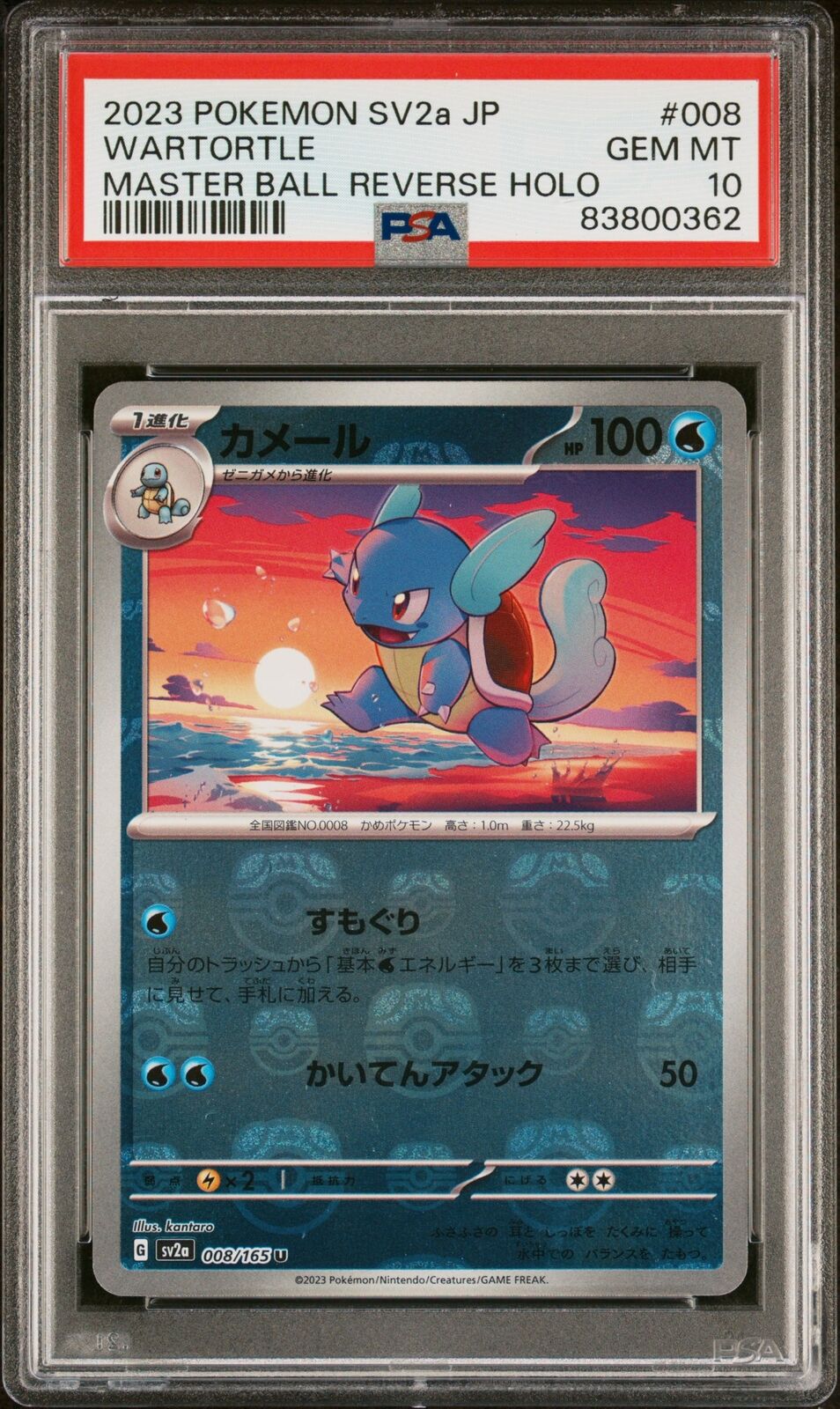 PSA 10 GEM MINT JAPANESE POKEMON 2023 WARTORTLE 008/165 MASTER BALL 151 SV2a