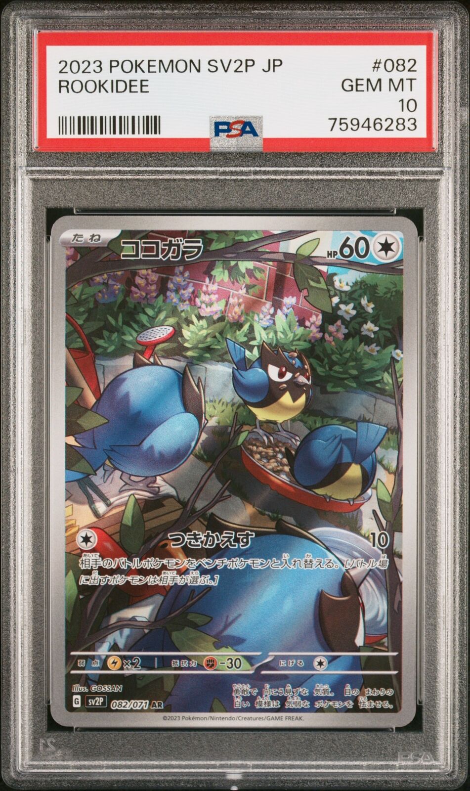 PSA 10 GEM MINT JAPANESE POKEMON 2023 ROOKIDEE 082/071 SNOW HAZARD SV2P NR